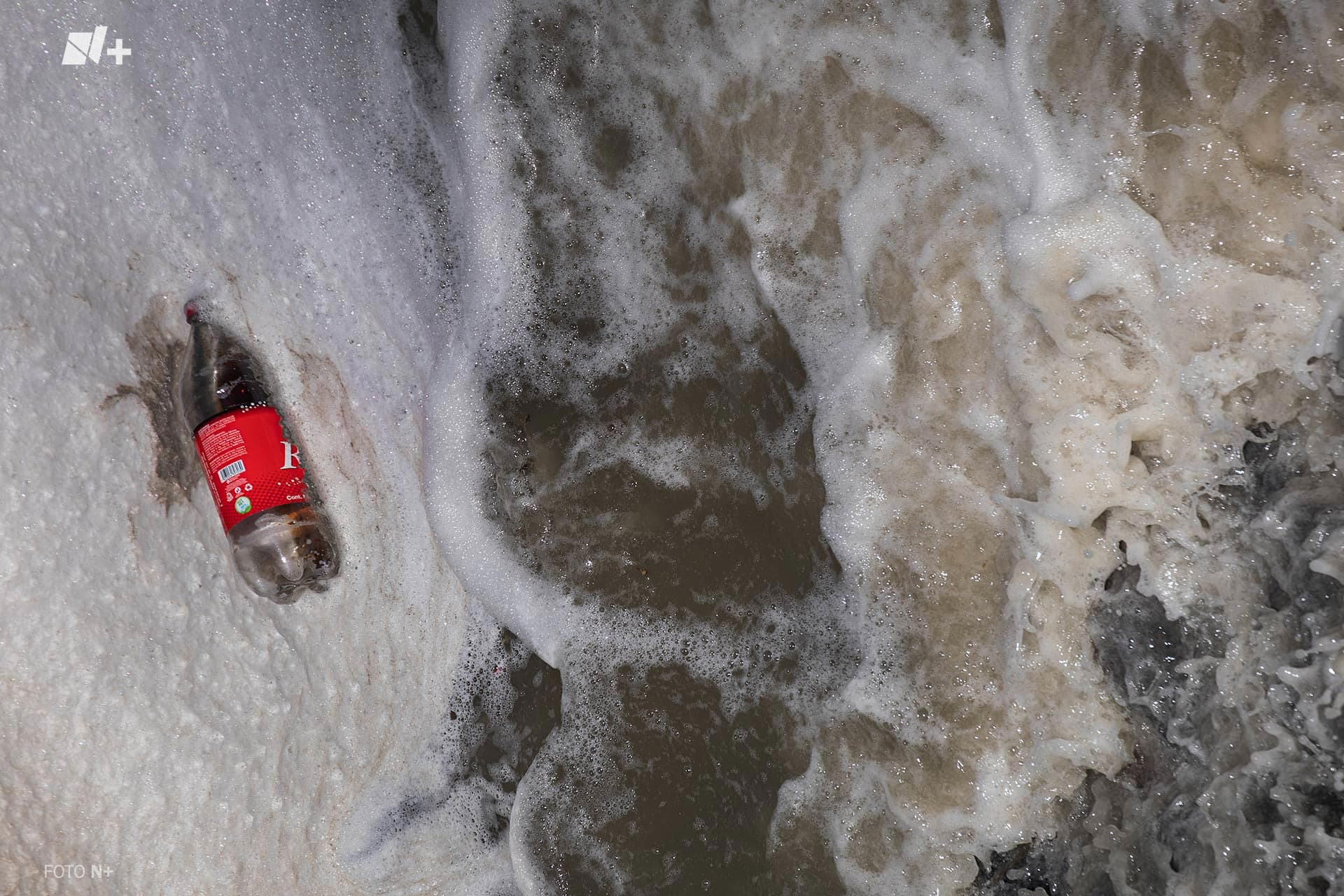 Una botella de plástico con etiqueta roja navega en agua gris en la presa San Francisco, Alvaro Obregón.