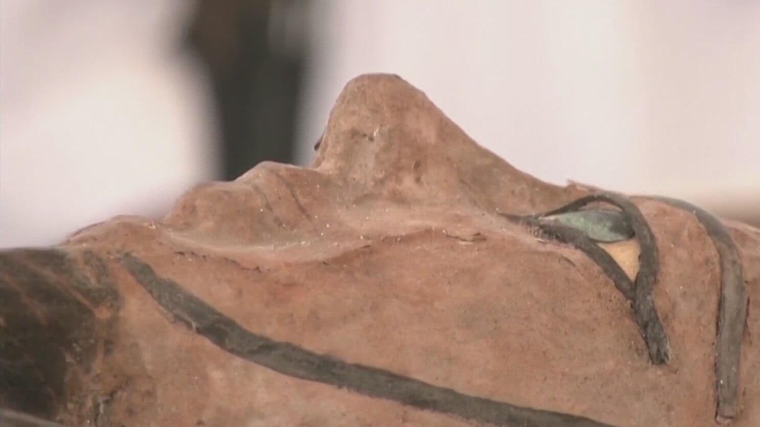 Descubren a qué Huelen las Momias Egipcias