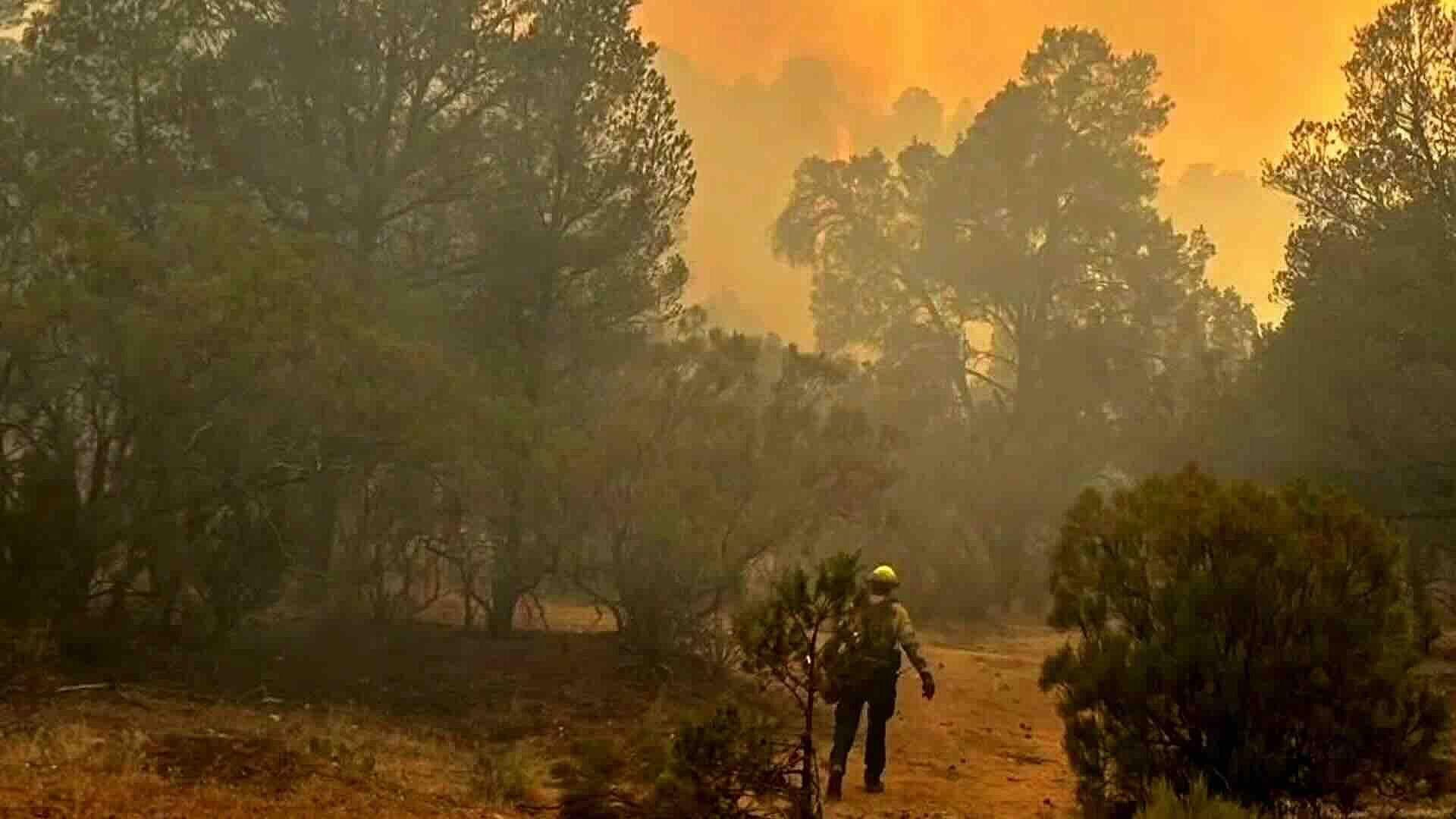 Foto | Incendio Forestal en Tecate Afecta 12 Mil Hectáreas y Activa Prealerta en Baja California
