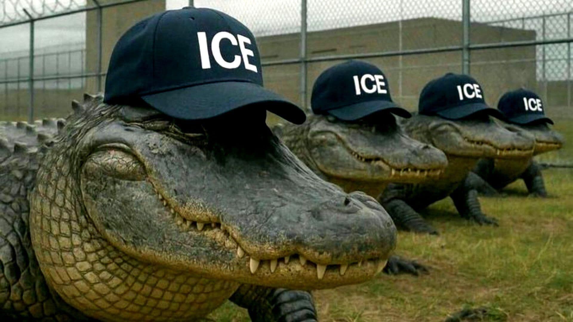 Abren Centro de Detención para Migrantes en Florida, Rodeado de Caimanes