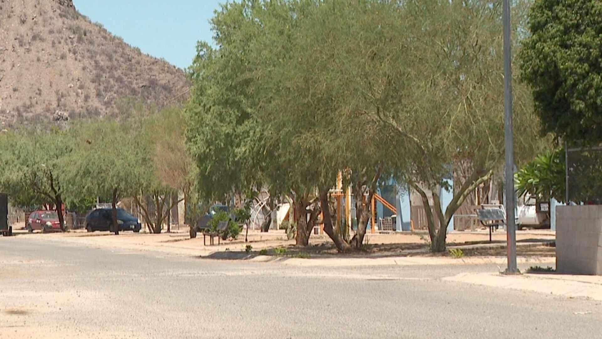 Capturan a 2 Menores con Machetes en Colonia Fuente de Piedra de Hermosillo, Sonora