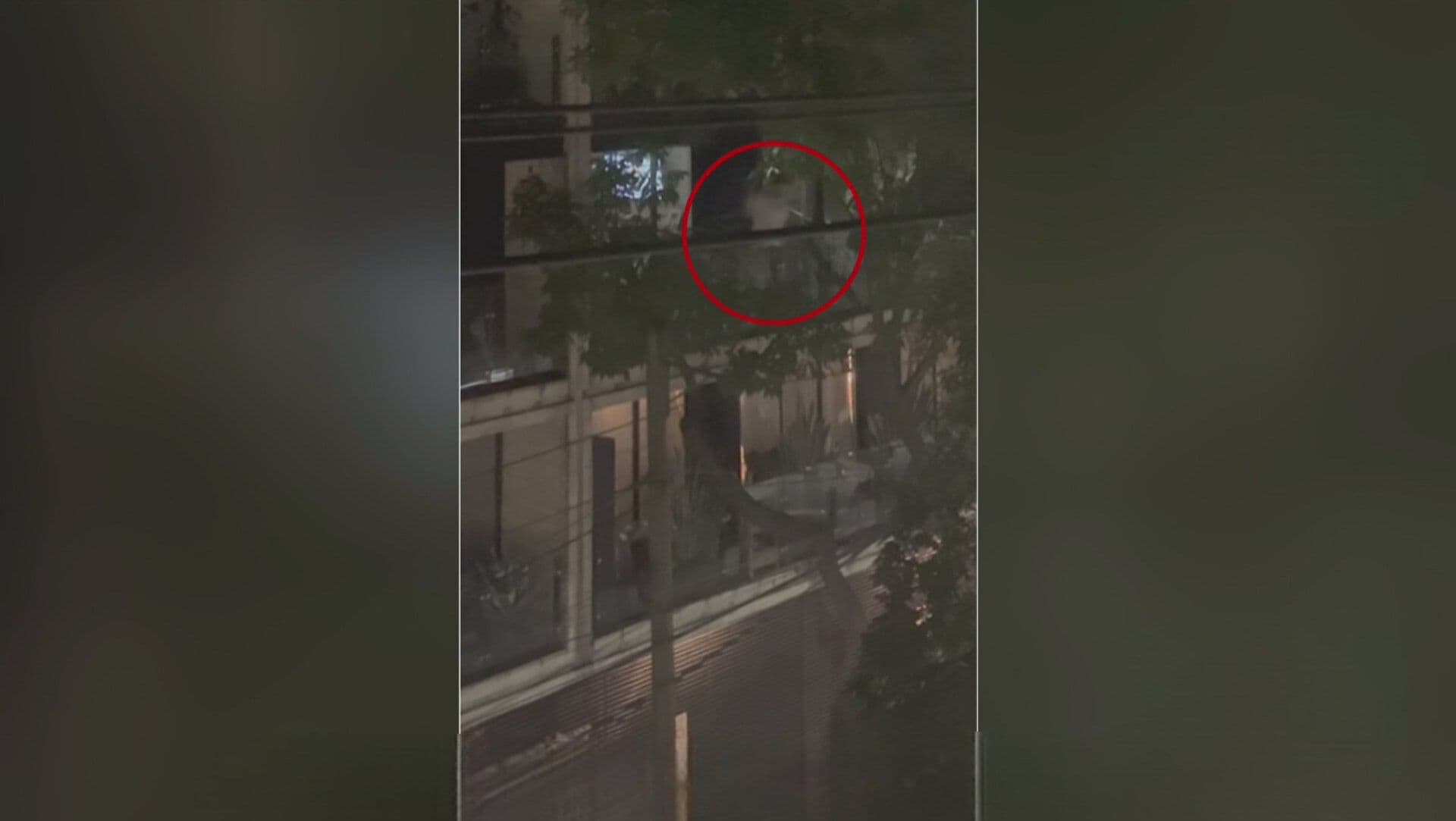 VIDEO: Captan a "Lanzapiedras" en CDMX: Ataca a Automovilistas desde su Balcón en la Miguel Hidalgo