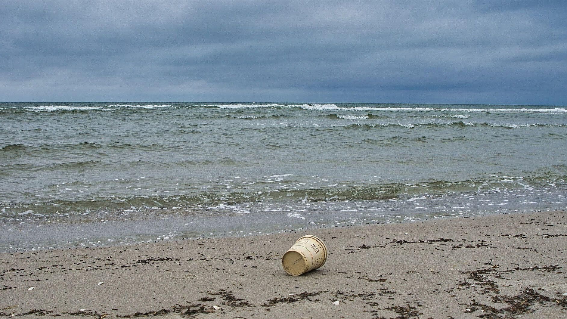 "Vertido de Fukushima es Peligrosa, pero Legal": Experta