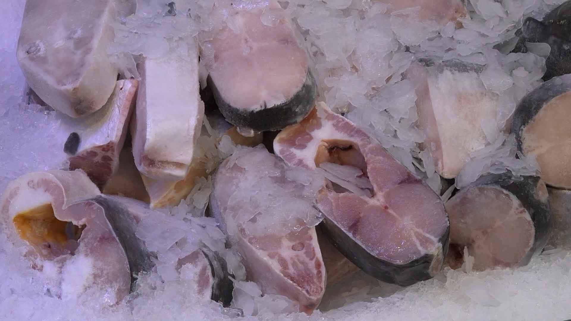 ¿Cómo Detectar Mariscos en Mal Estado Antes de Comerlos?