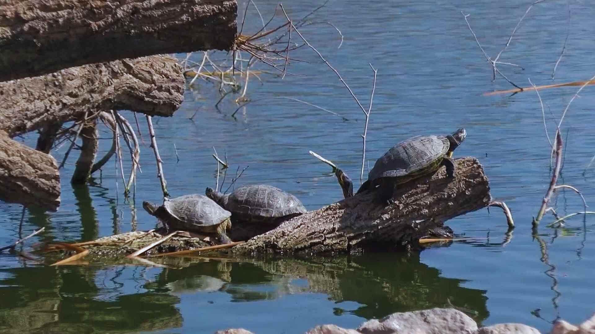 Usuarios del Parque Central Piden Mantenimiento a las Áreas