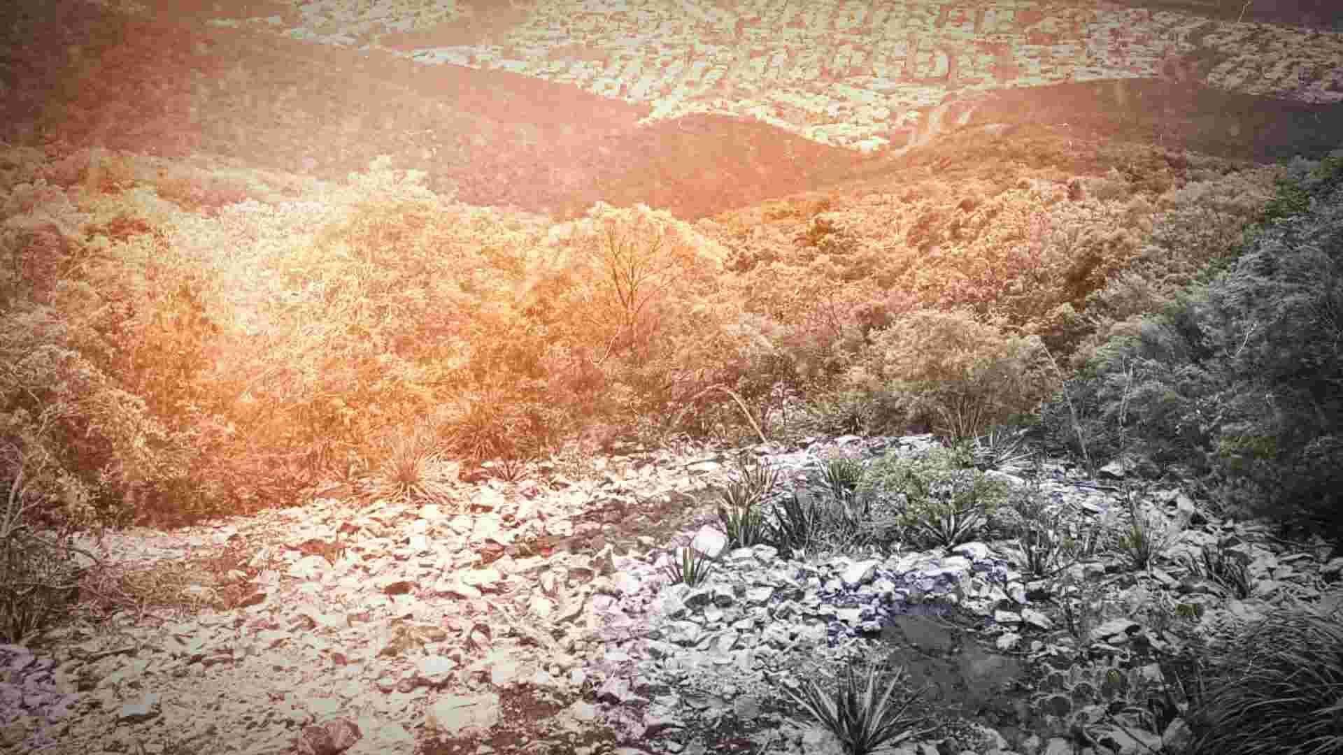 Regios Suben al Cerro de la Silla para Disfrutar de Nieve