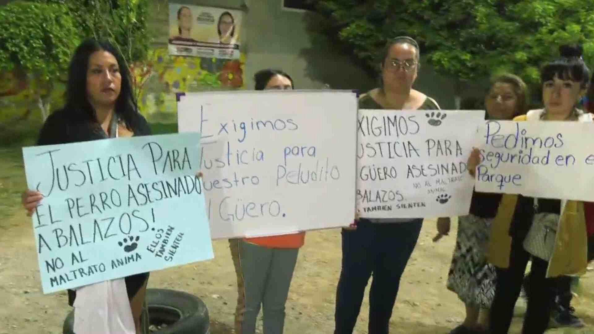 Vecinos Exigen Justicia por Perrito que Murió Baleado en Ciudad Azteca