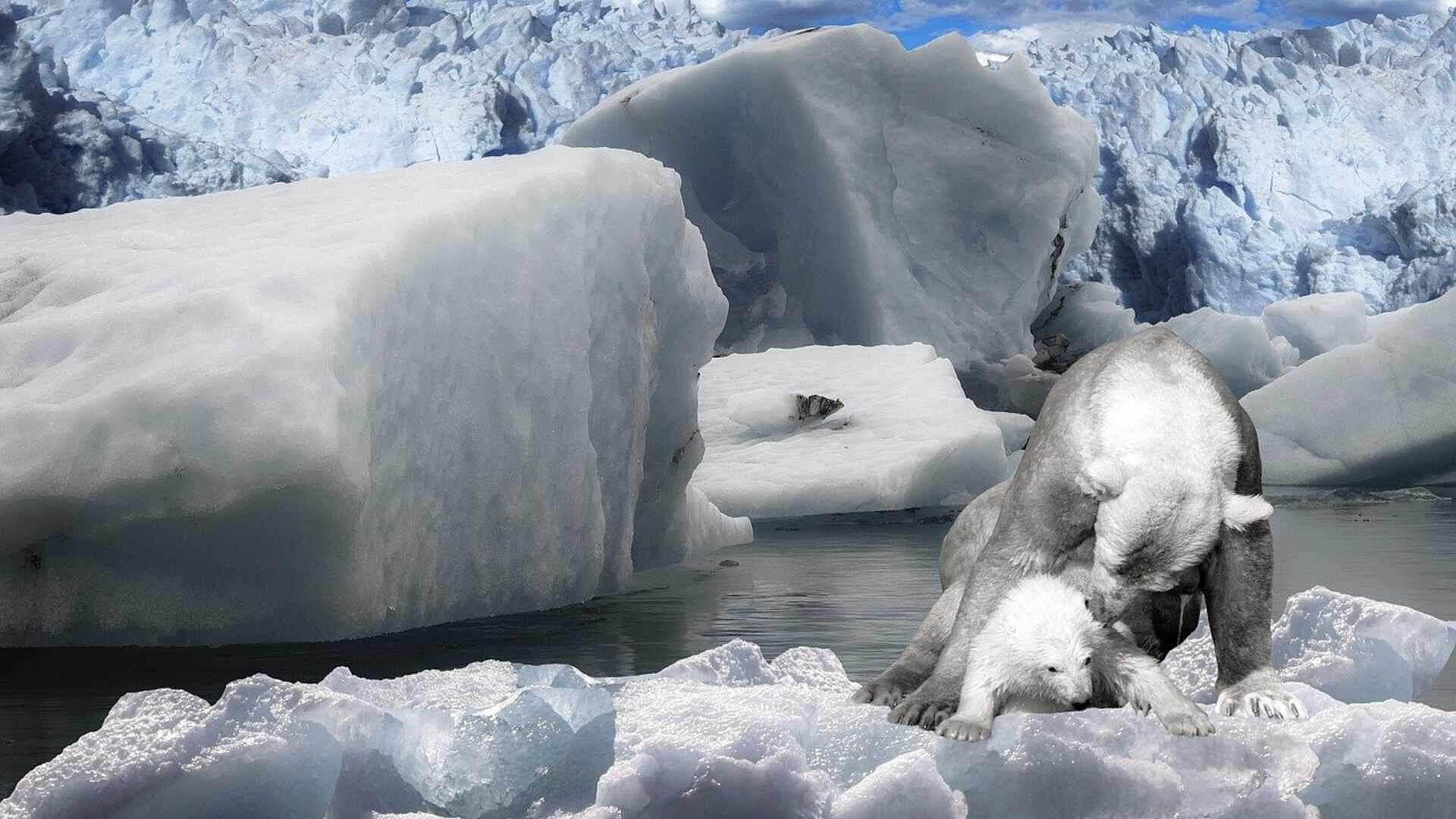 Ártico se Quedaría sin Hielo Para el Año 2030