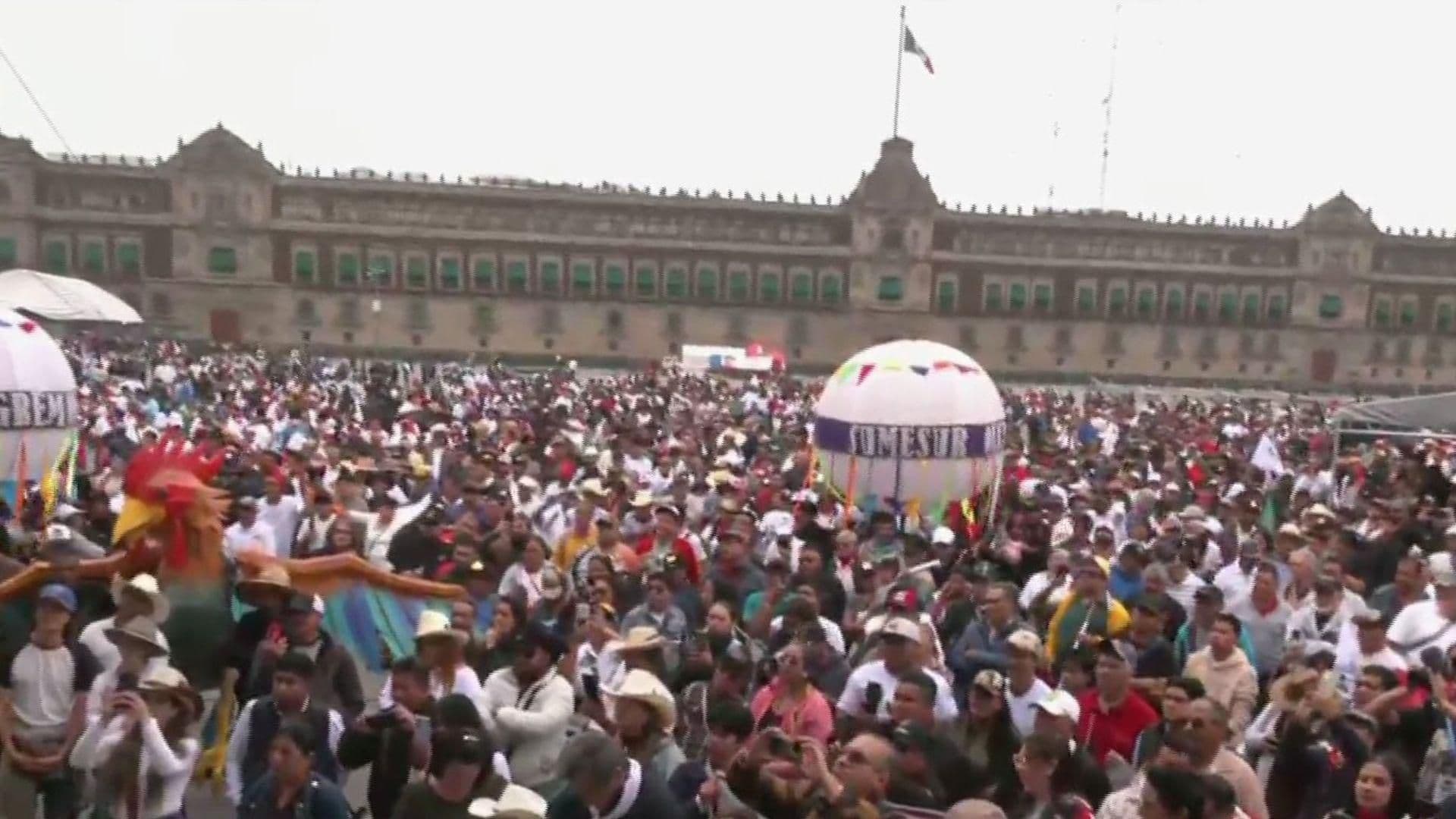 Así Luce Mega Manifestación en Zócalo CDMX en Defensa de Palenques de Gallos y Corridas de Toros
