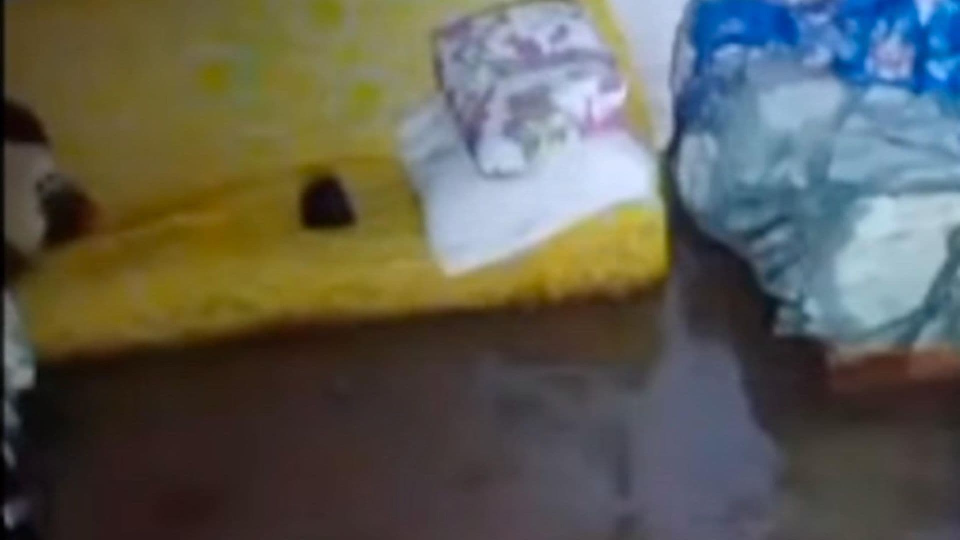 Casas de la Comunidad de Nápoles en Silao Fueron Inundadas Por Las Lluvias