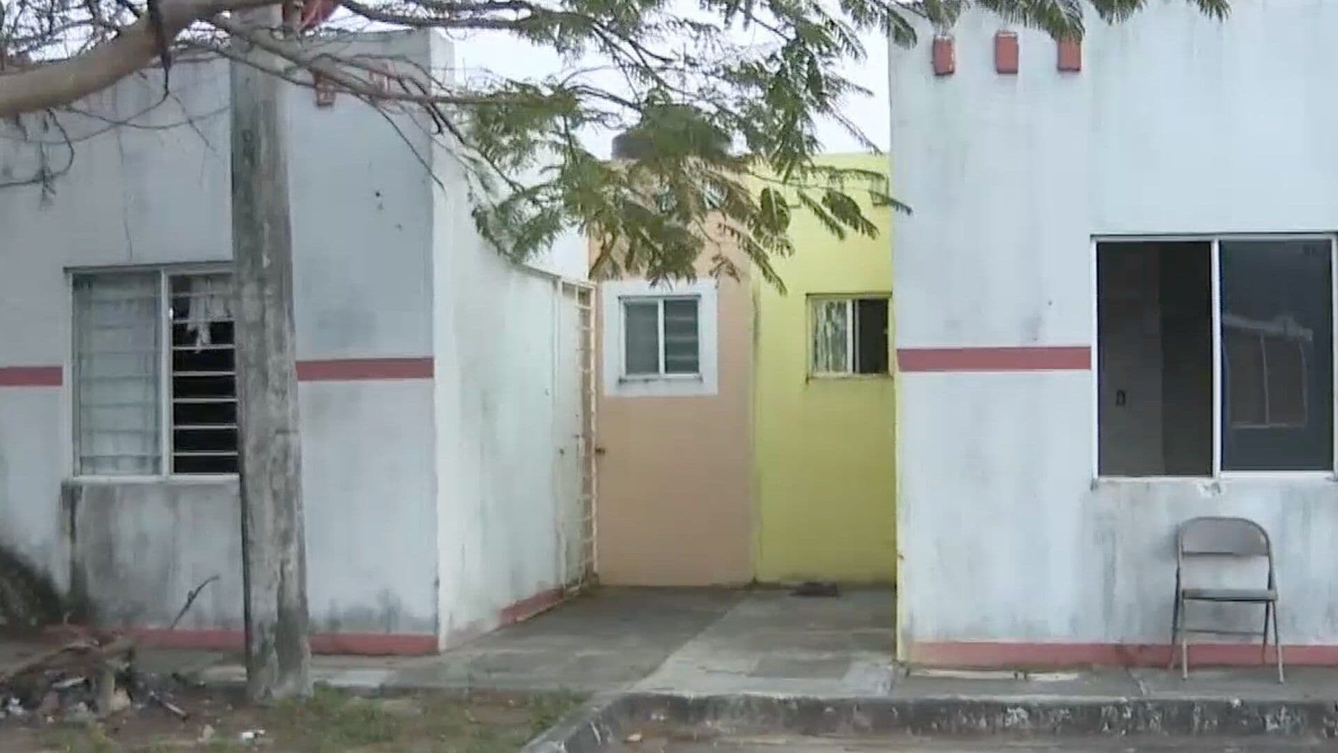 Reportan Caso de Maltrato Animal de un Perro en Veracruz; Presuntamente Fue Calcinado