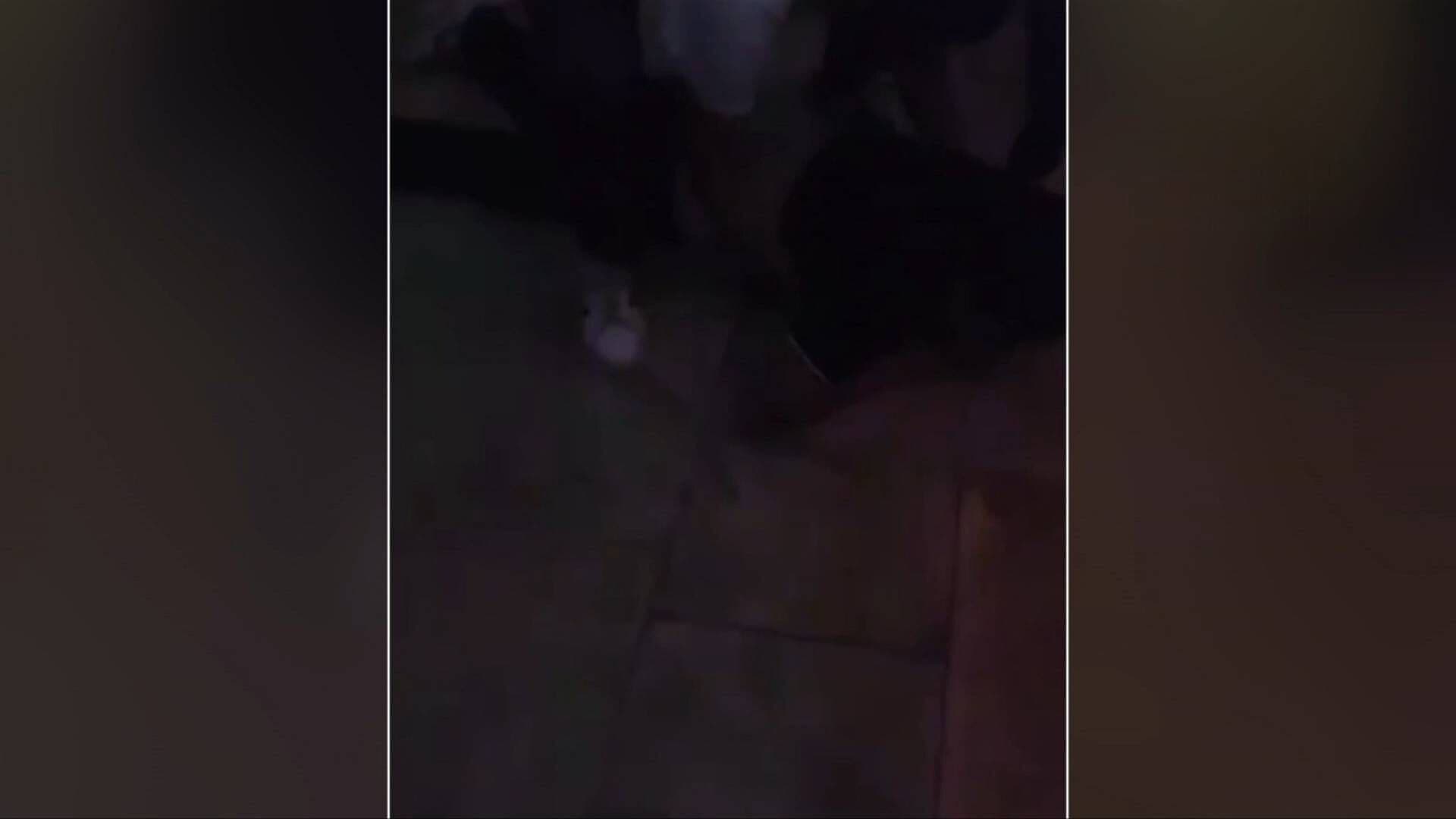 Investigan en Oaxaca Comportamientos Extraños y Agresivos de Jóvenes Tras Asistir a Una Fiesta