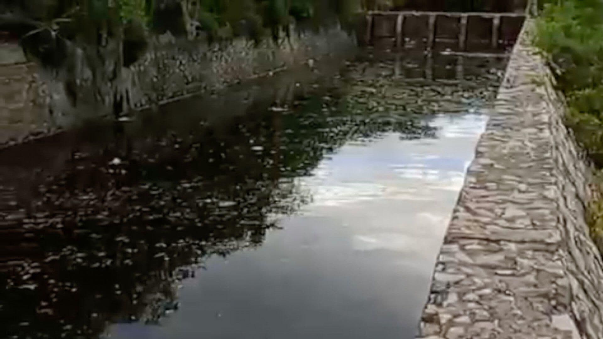 Localizan Hombre Muerto Flotando en el Dren de Valsequillo