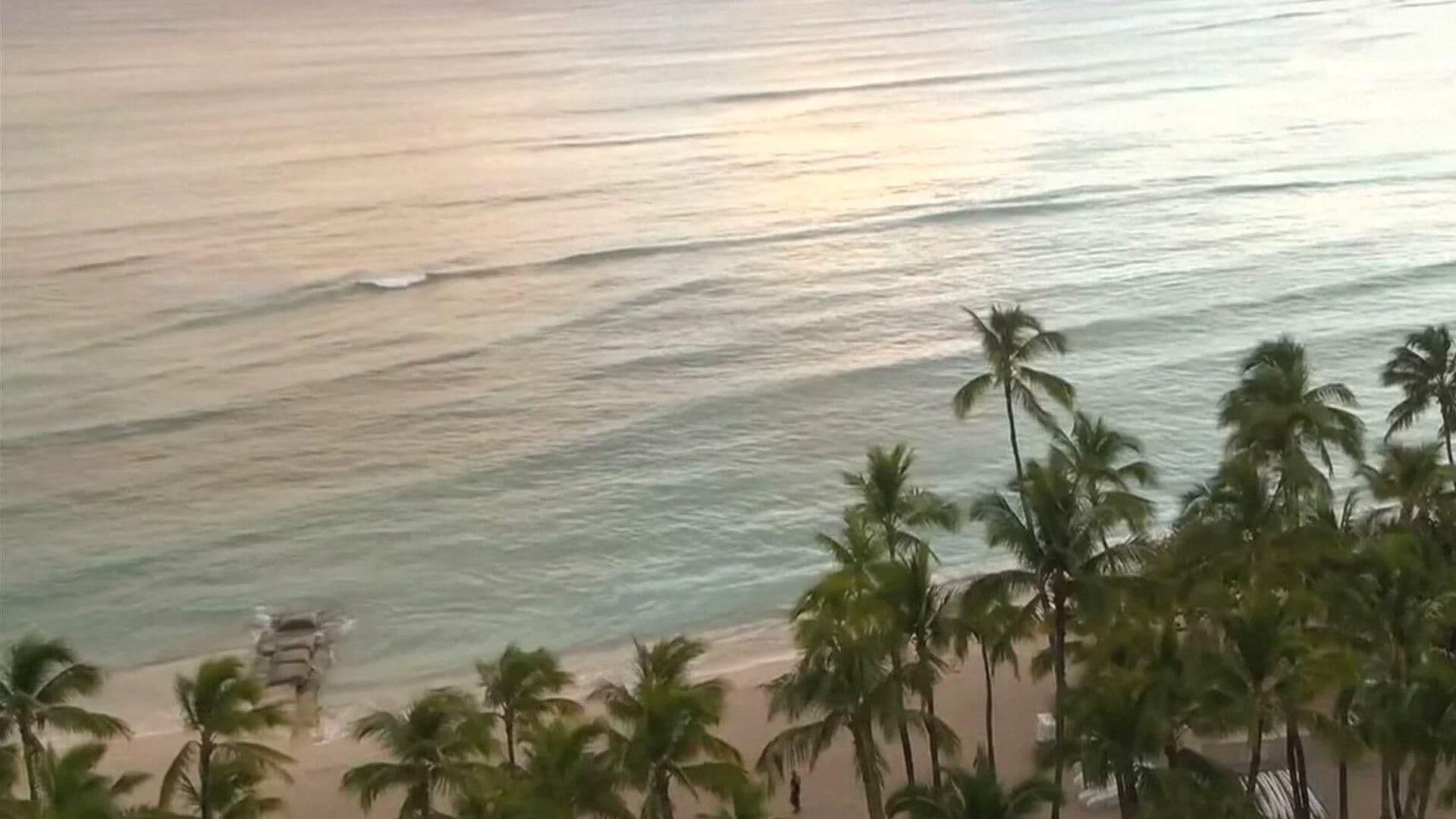 ¡Alerta en Hawái! Gobernador Declara Emergencia Ante Llegada Inminente de Tsunami