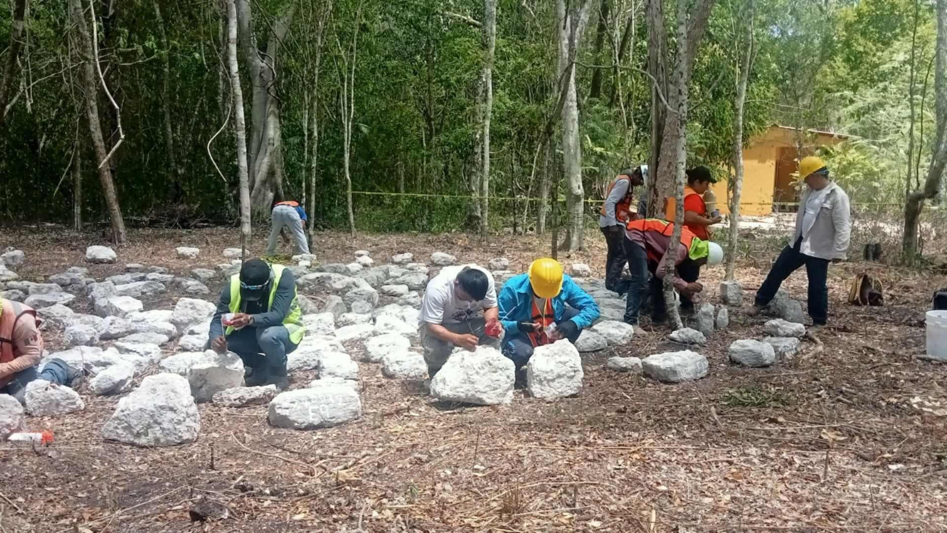 INAH Anuncia Traslado de Estructuras Prehispánicas Encontradas por Tren Maya
