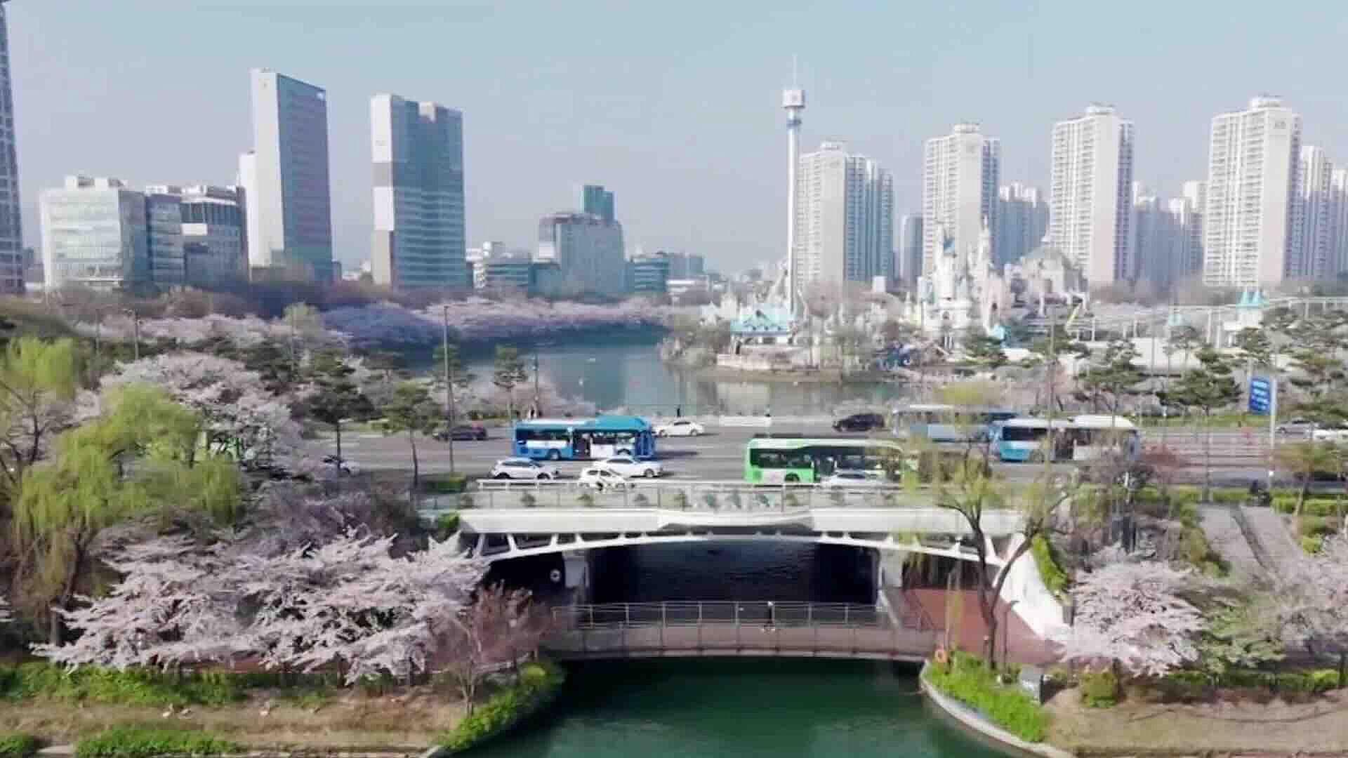 Corea del Sur se Convirtió en Potencia Tecnológica y Cultural Gracias a su Estrategia