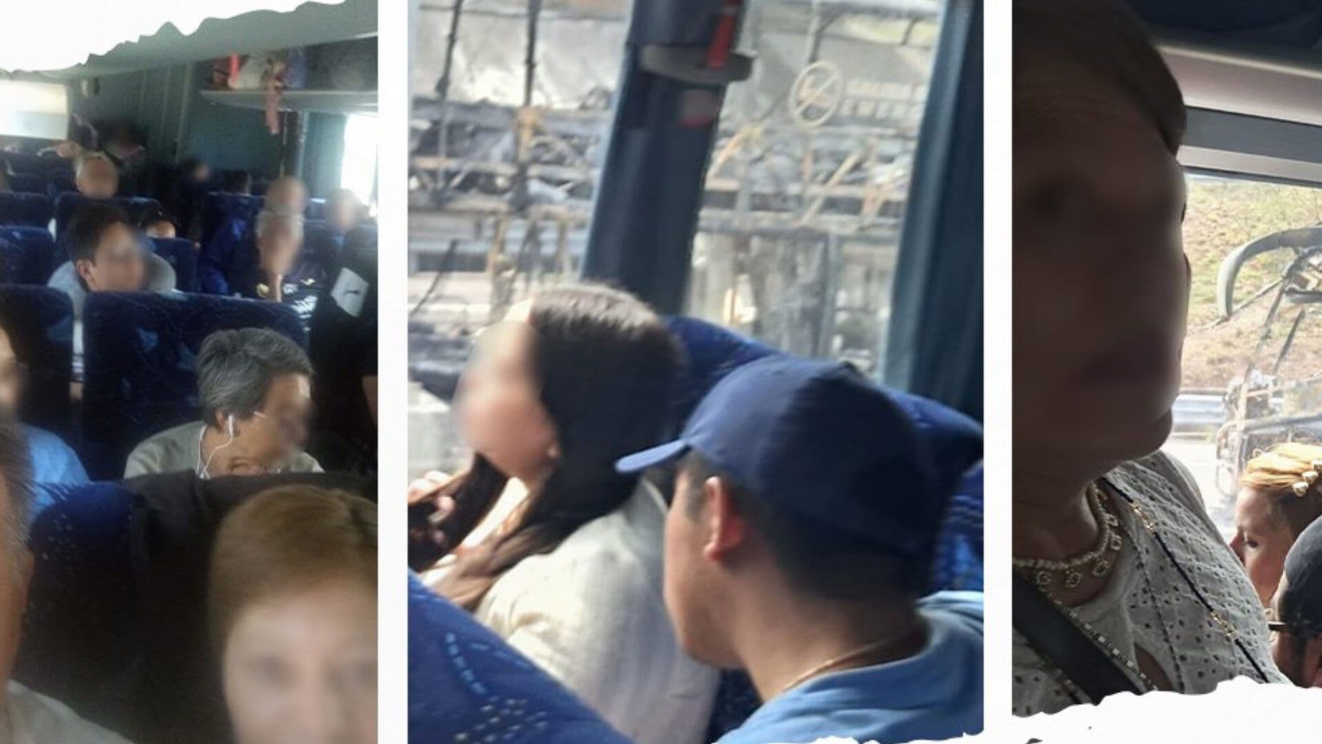 Regresan a Casa 52 Poblanos que Estaban Resguardados en Puerto Vallarta, Jalisco