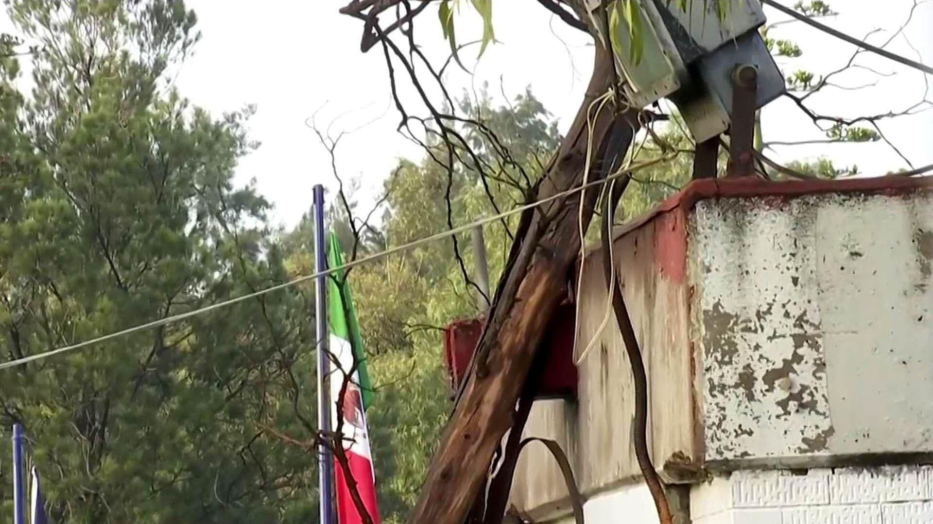 Lluvias Provocan Caída de 10 Árboles en la FES Aragón: Las Clases están Suspendidas