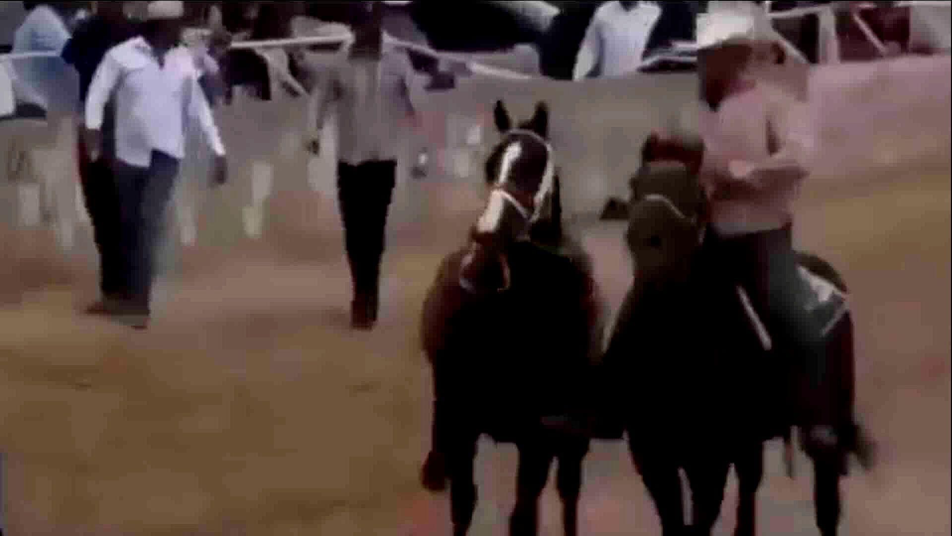 Enfrentamiento en Parral, Chihuahua Deja al Menos Seis Muertos Durante Evento Hípico