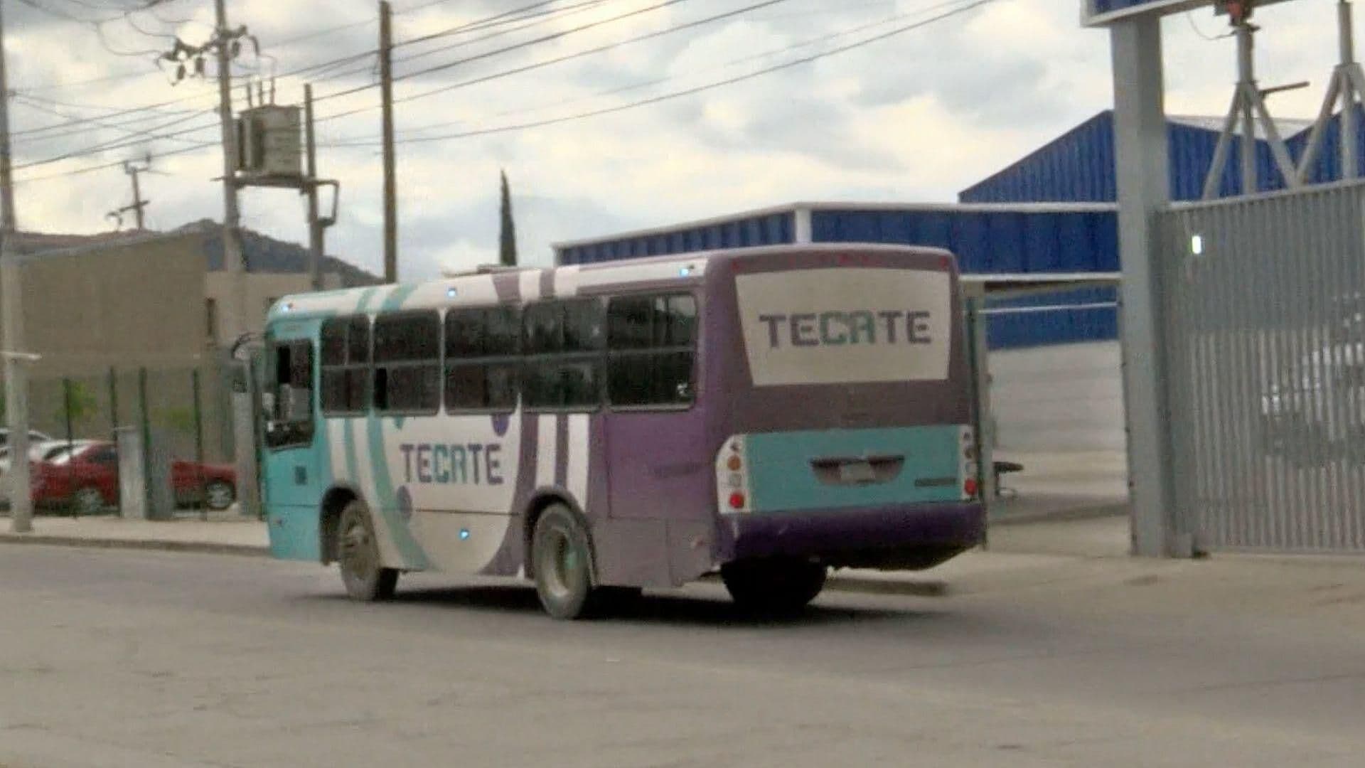 Anuncian Nueva Ruta Troncal para Tecate con 44 Paradas; Esto se Sabe