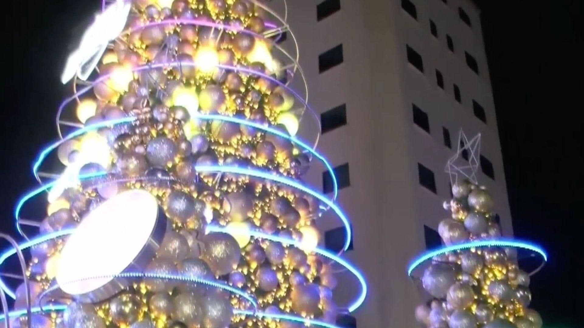 Así se Vivió el Encendido del Árbol en la Plaza de Armas de Chihuahua