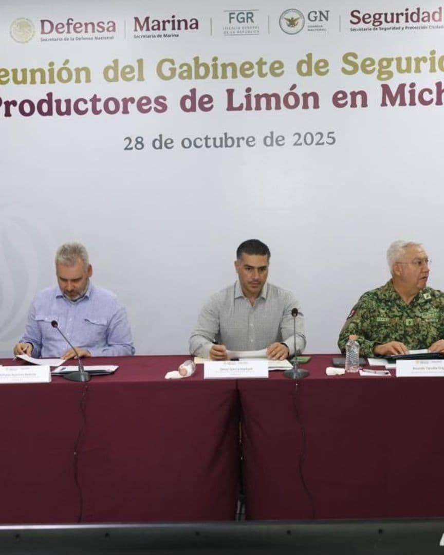 García Harfuch en Michoacán