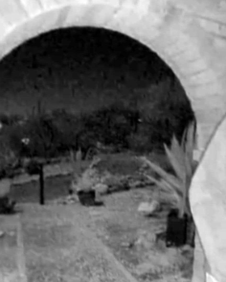 Foto: X @FBIDirectorKash