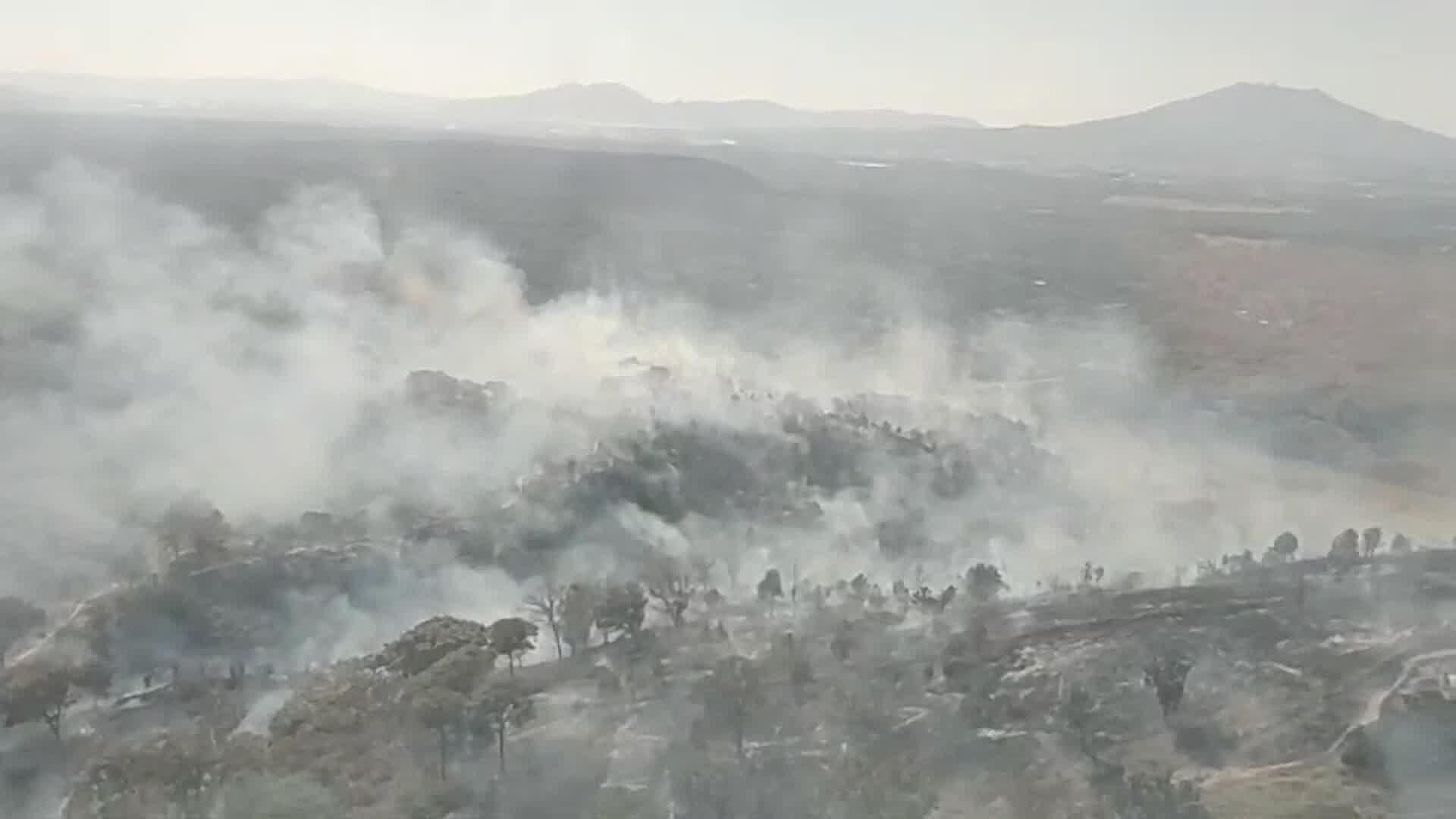 Declaran Completamente Extinguido el Incendio en el Bosque La Primavera