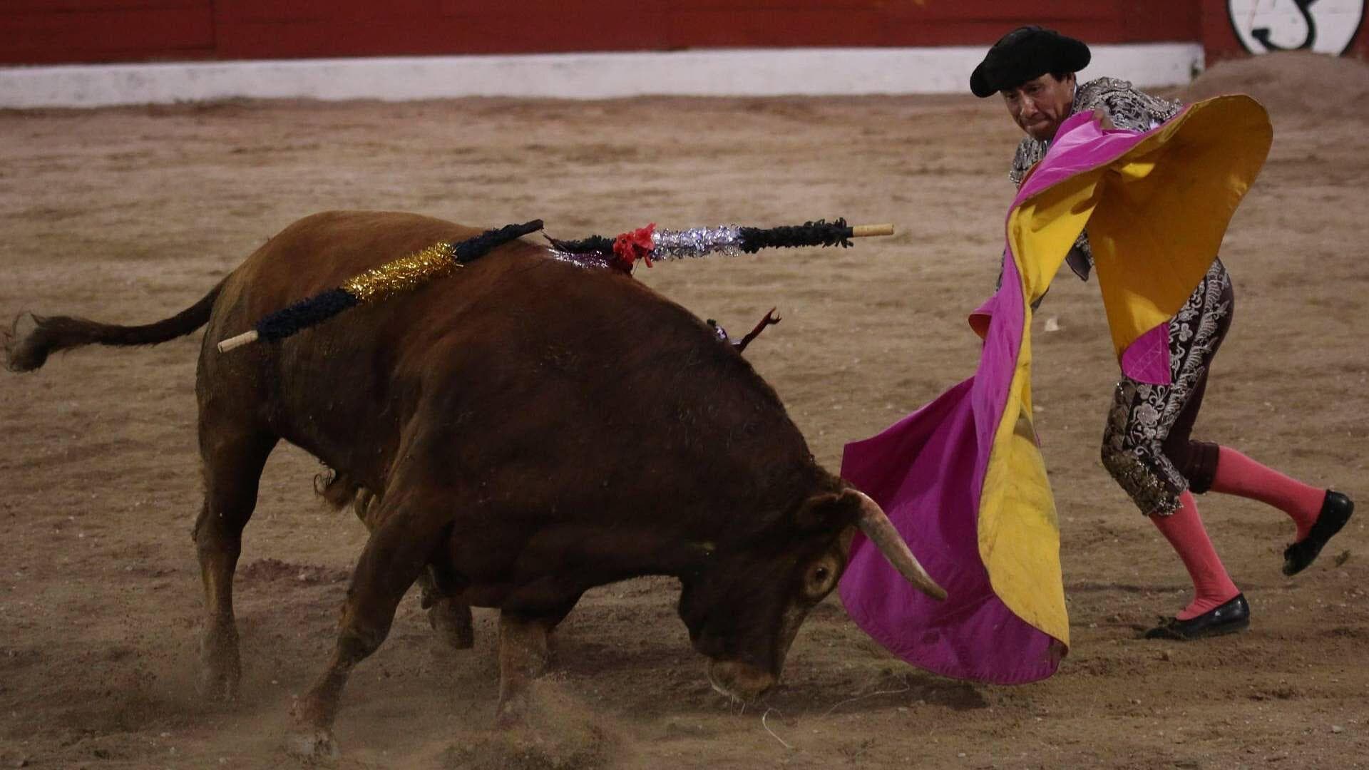 ¿Regresan Corridas de Toros a Tepic? SCJN Invalida Reglamento que Prohibía Espectáculos con Animales