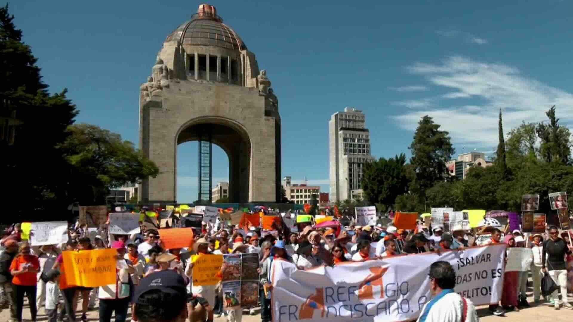 Animalistas Marchan del Monumento a la Revolución al Zócalo por Refugio Franciscano