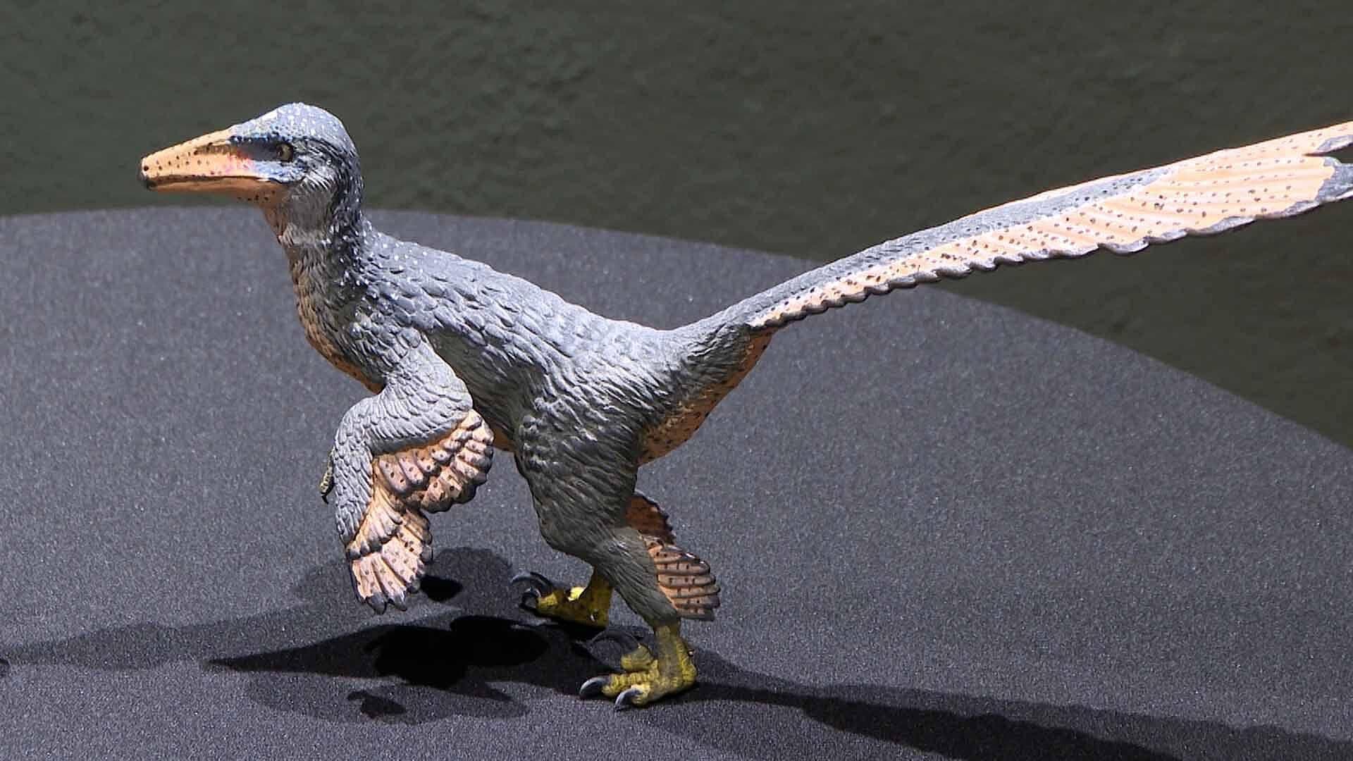 Presentan Nueva Especie de Dinosaurio de Hace 74 Millones de Años Descubierta en Coahuila