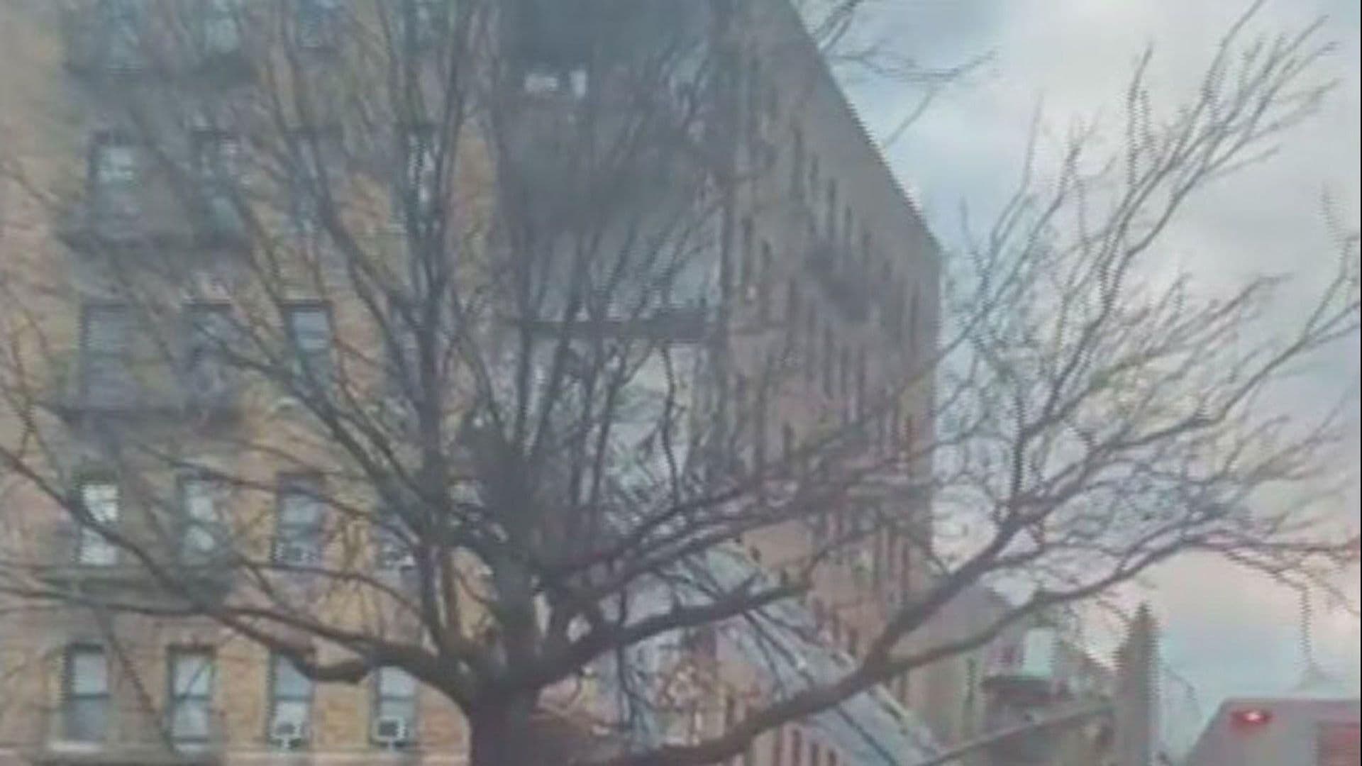 Colapso de Edificio Desata Temor en el Bronx, Nueva York