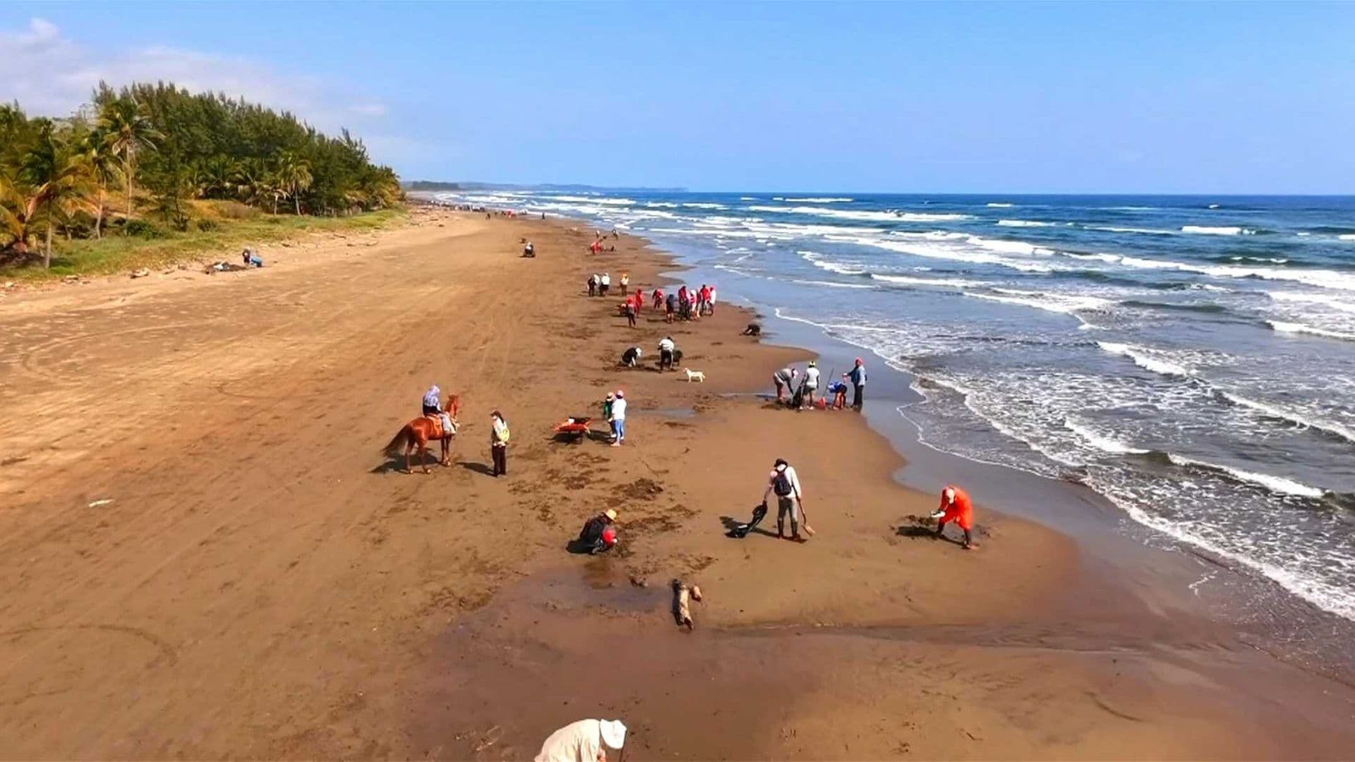 Turistas Llegan a Veracruz a Vacacionar en Medio de la Crisis por Derrame de Hidrocarburo