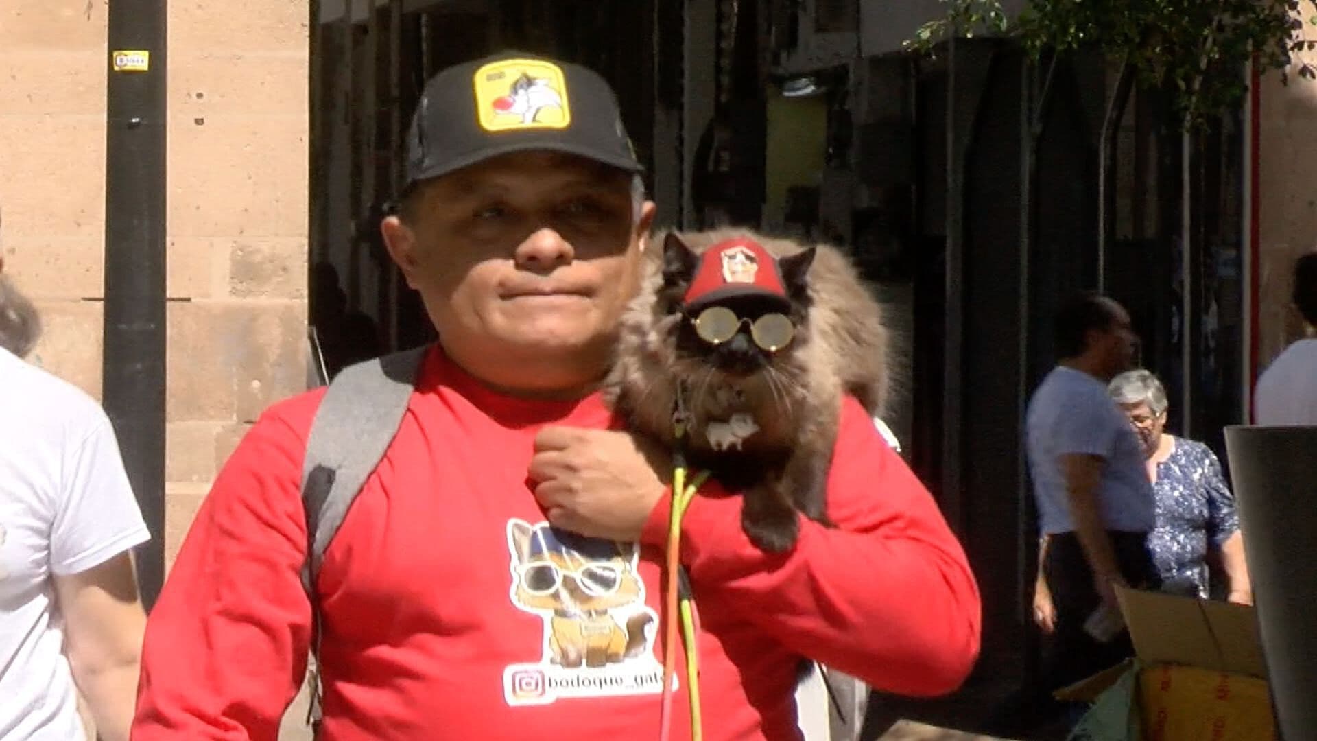 Bodoque Gato se Vuelve Viral por su Peculiar Forma de Vestir y Andar en León Guanajuato