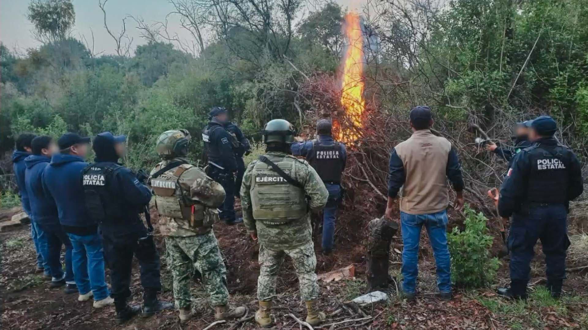 Desmantelaron Horno Clandestino Carbón Vegetal Parque Nacional La Malinche Tlaxcala
