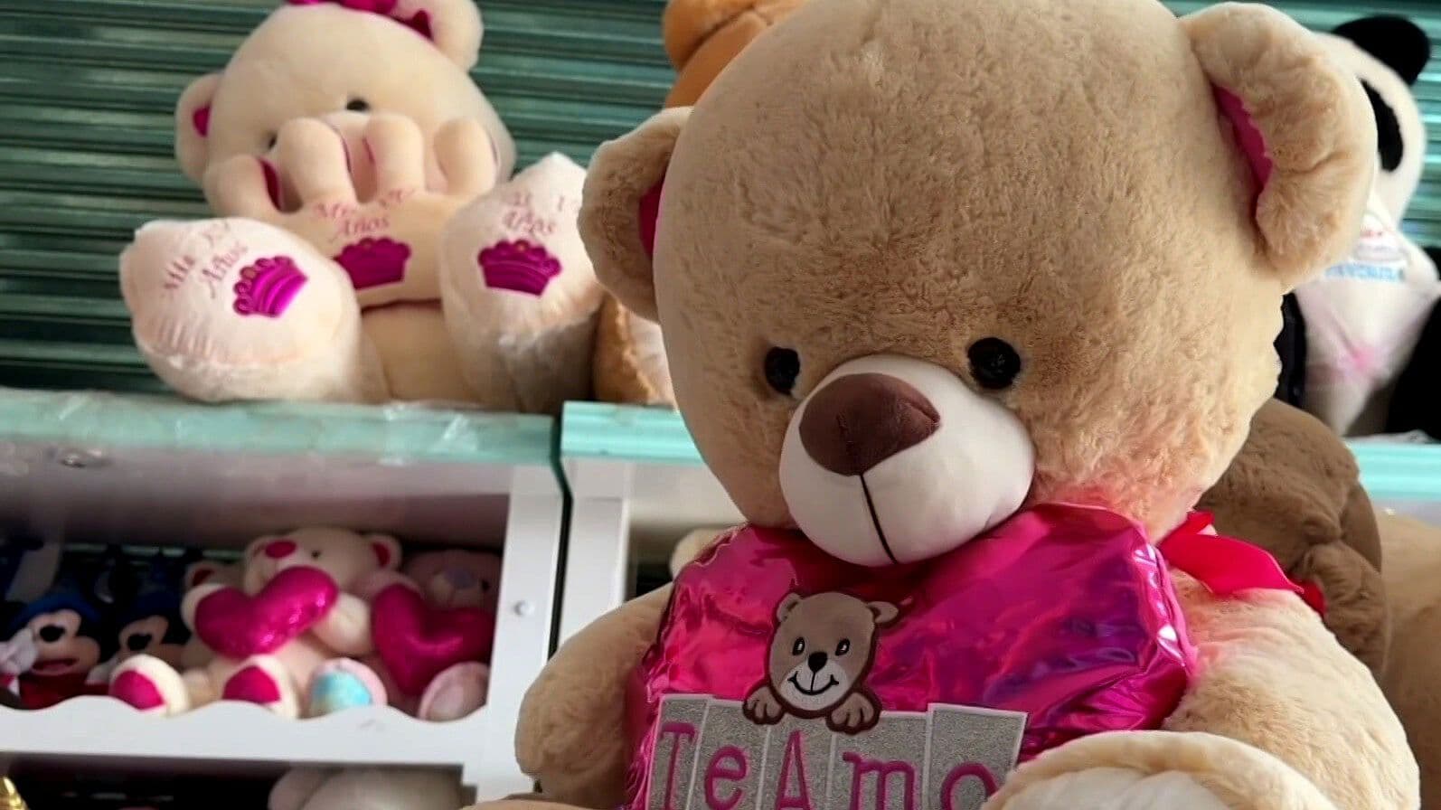 Xonacatlán, la 'Ciudad del Peluche' Ubicada en Edomex y Reconocida a Nivel Mundial