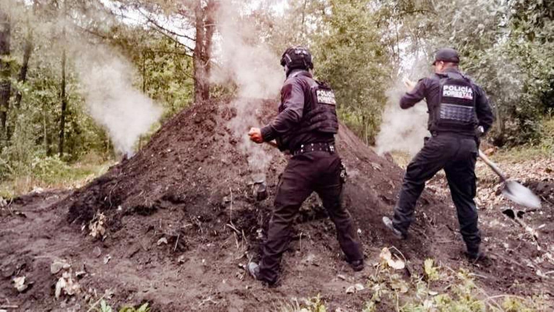 Eliminados 11 Hornos Clandestinos Deshidratación Madera San Nicolás de Los Ranchos Puebla