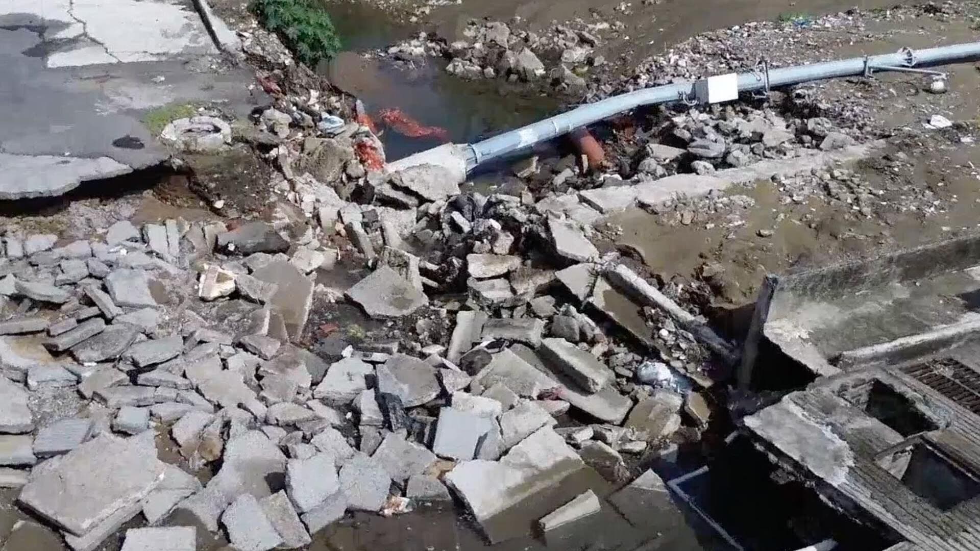Se Registra el Primer Caso de Gusano Barrenador en Humanos en el Municipio de Pihuamo, Jalisco