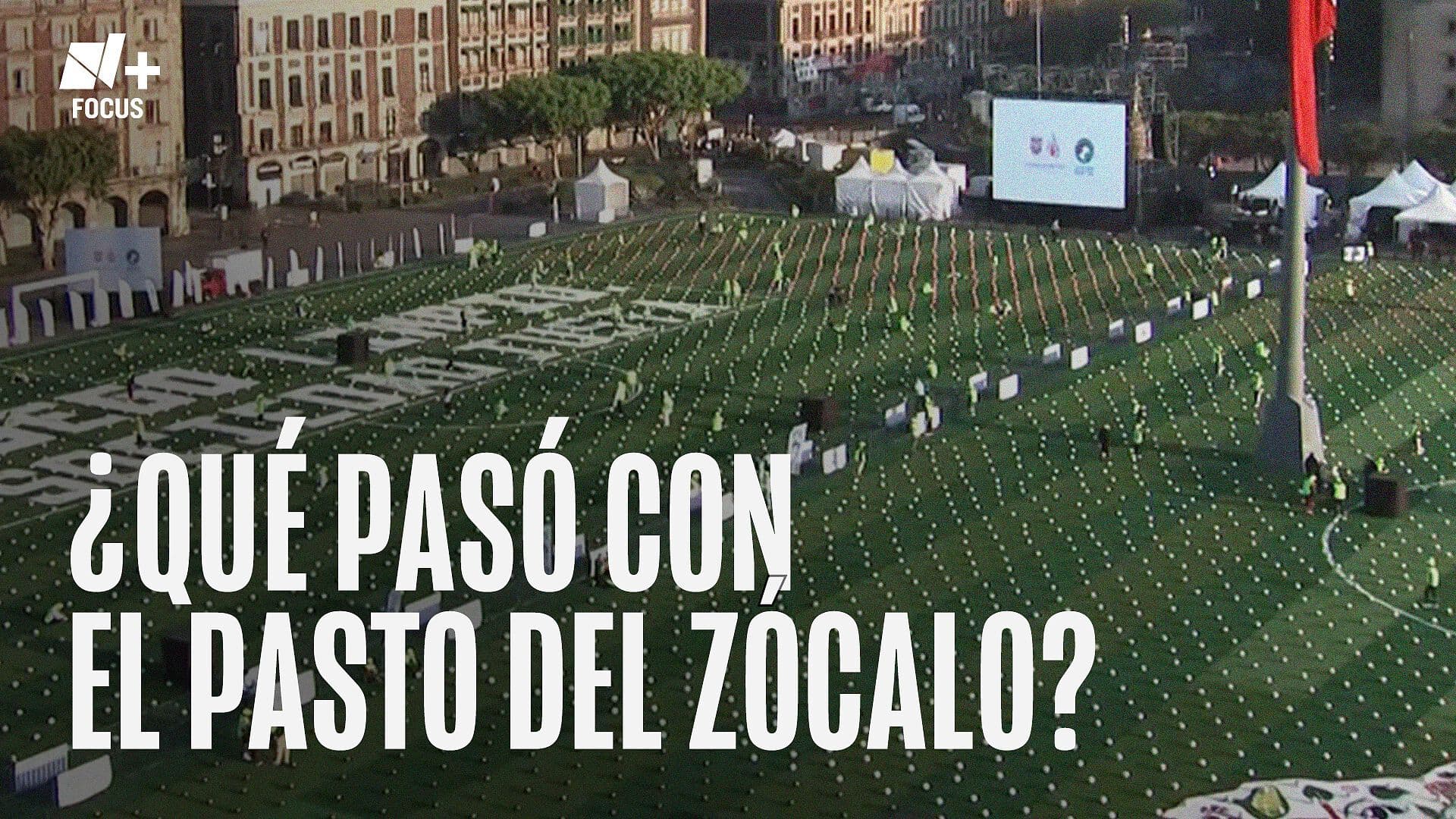 ¿Qué Pasó con el Pasto del Zócalo CDMX?