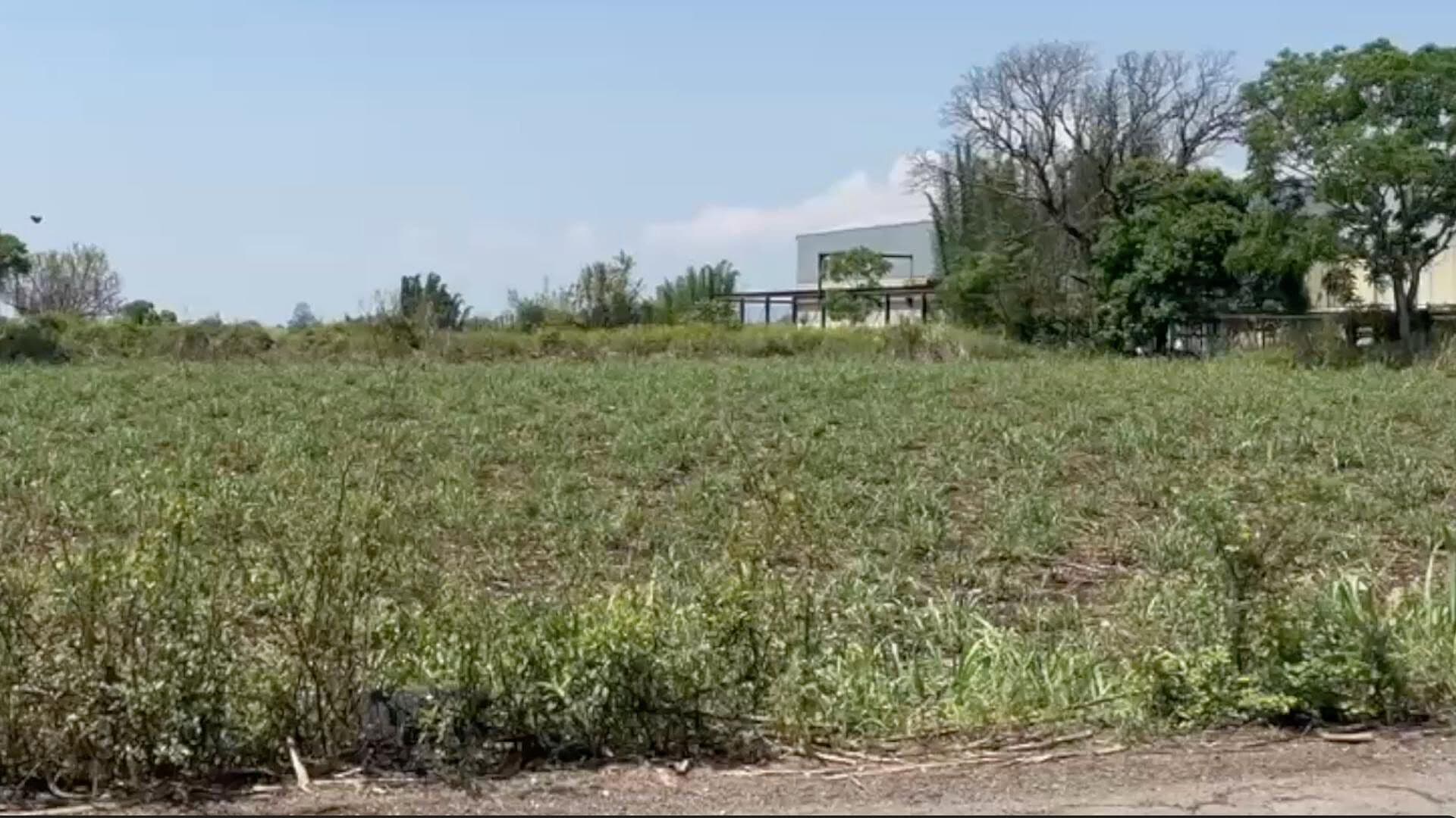 Altas Temperaturas Afectan el Campo en Zona Centro del Estado de Veracruz