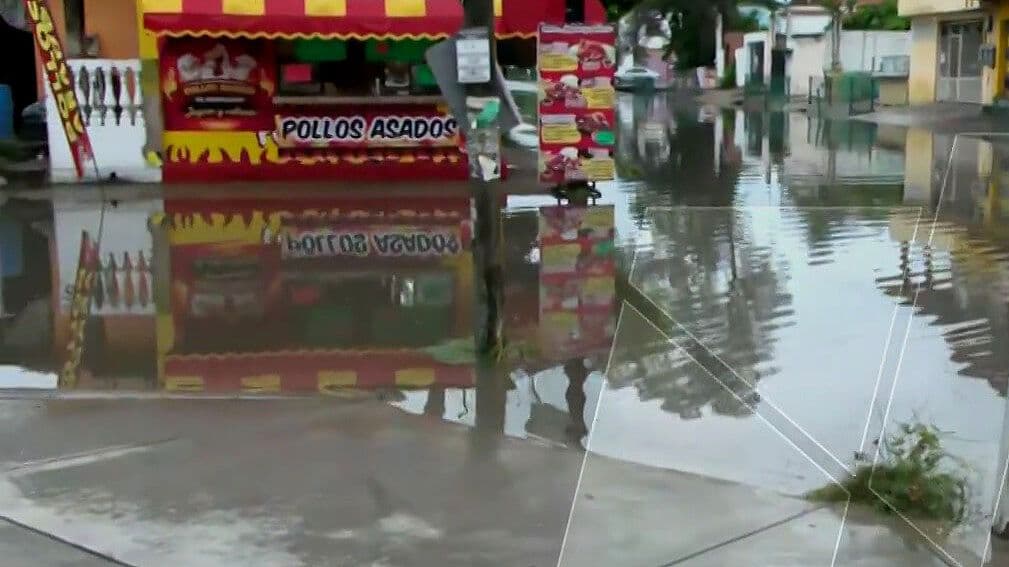 Lluvias Inundan Calles en Ciudad Madero en Tamaulipas; Alertan por Cocodrilos