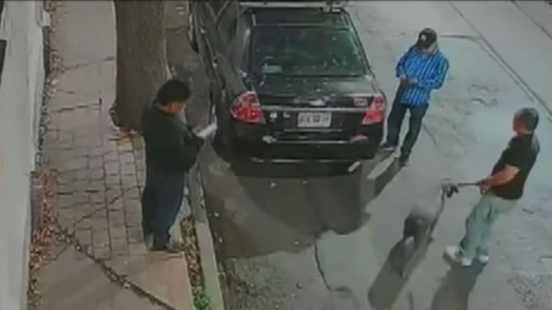 VIDEO: Hombre Abandona a Perro Pitbull Amarrado a Árbol Bajo la Lluvia en CDMX