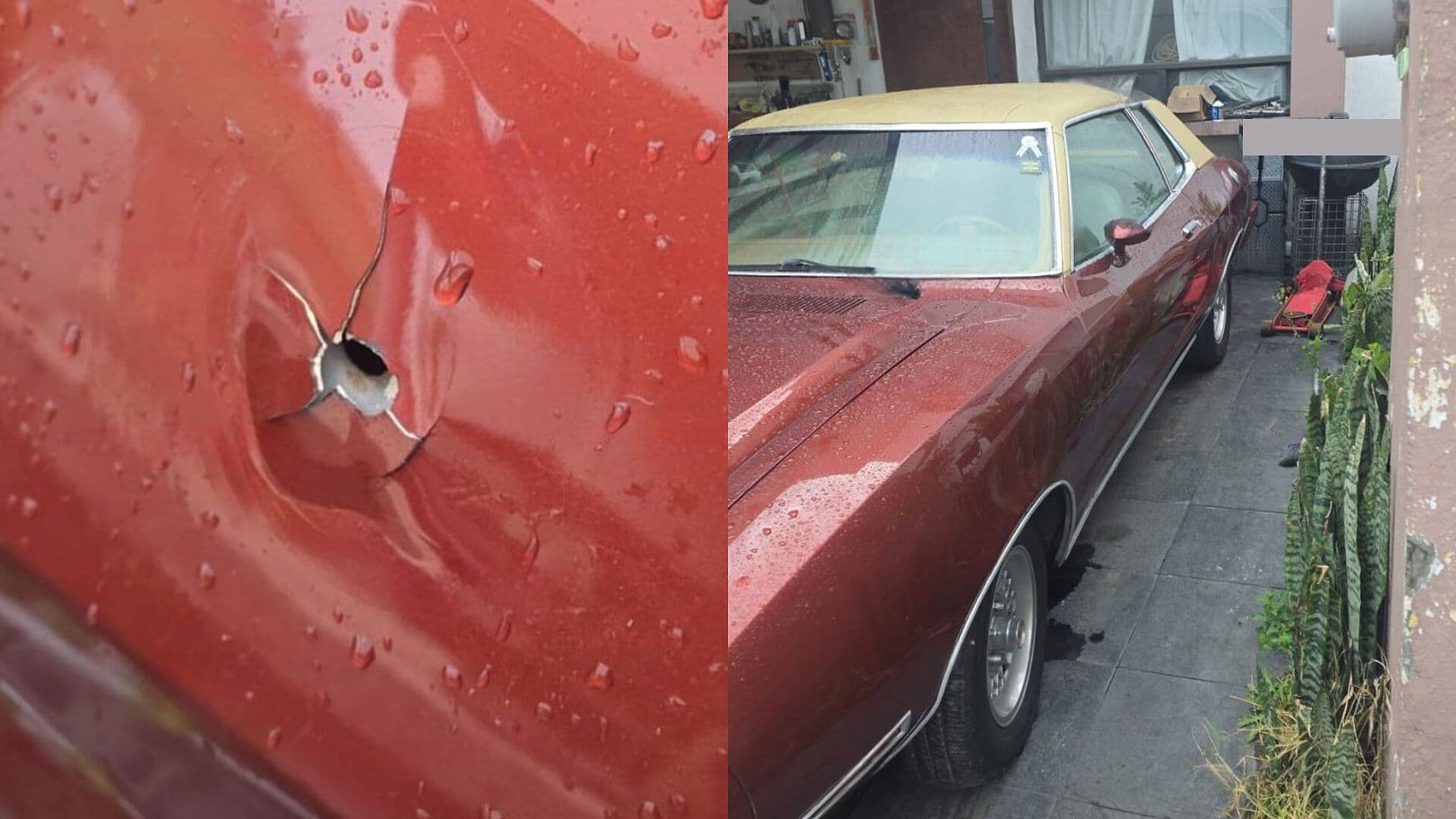 Tirador Ataque Vía Atlixcáyotl Puebla Auto Clásico Ford Mustang CCU Baleado