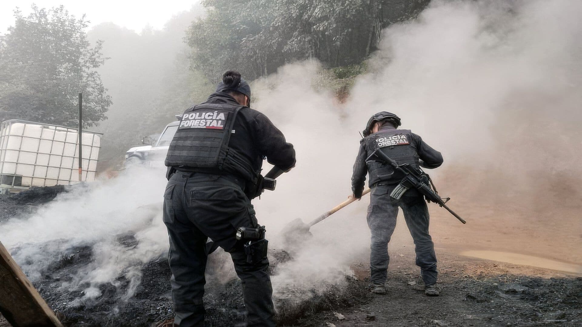 Inhabilitaron Tres Hornos Clandestinos de Madera en Zautla, Puebla