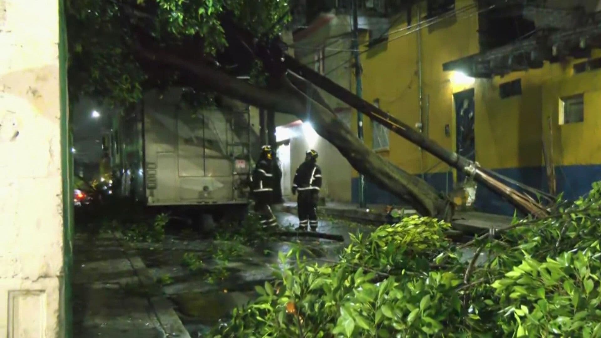 Así Quedó Vivienda Dañada por Caída de Enorme Árbol en la Colonia Pensil en la Miguel Hidalgo