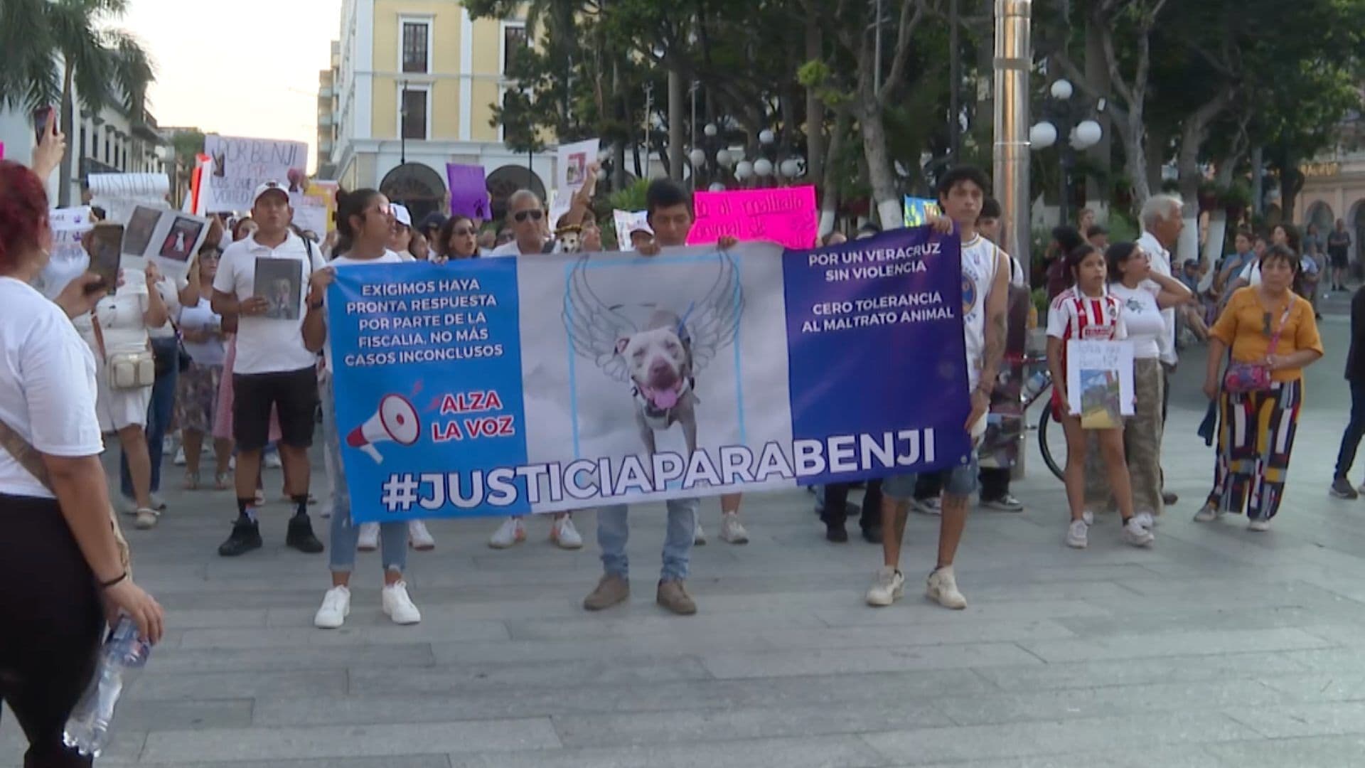 Marchan para Exigir Justicia para “Benji”, Perro Pitbull Presuntamente Asesinado en Veracruz