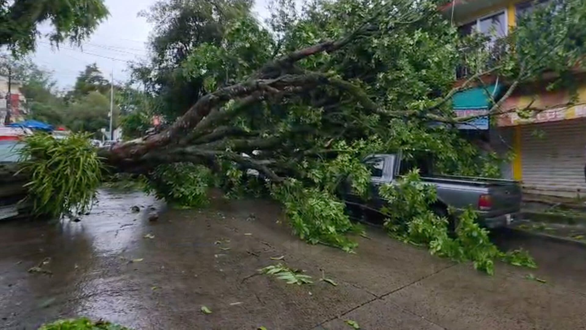Lluvias Continúan Provocando Afectaciones en Xalapa Veracruz