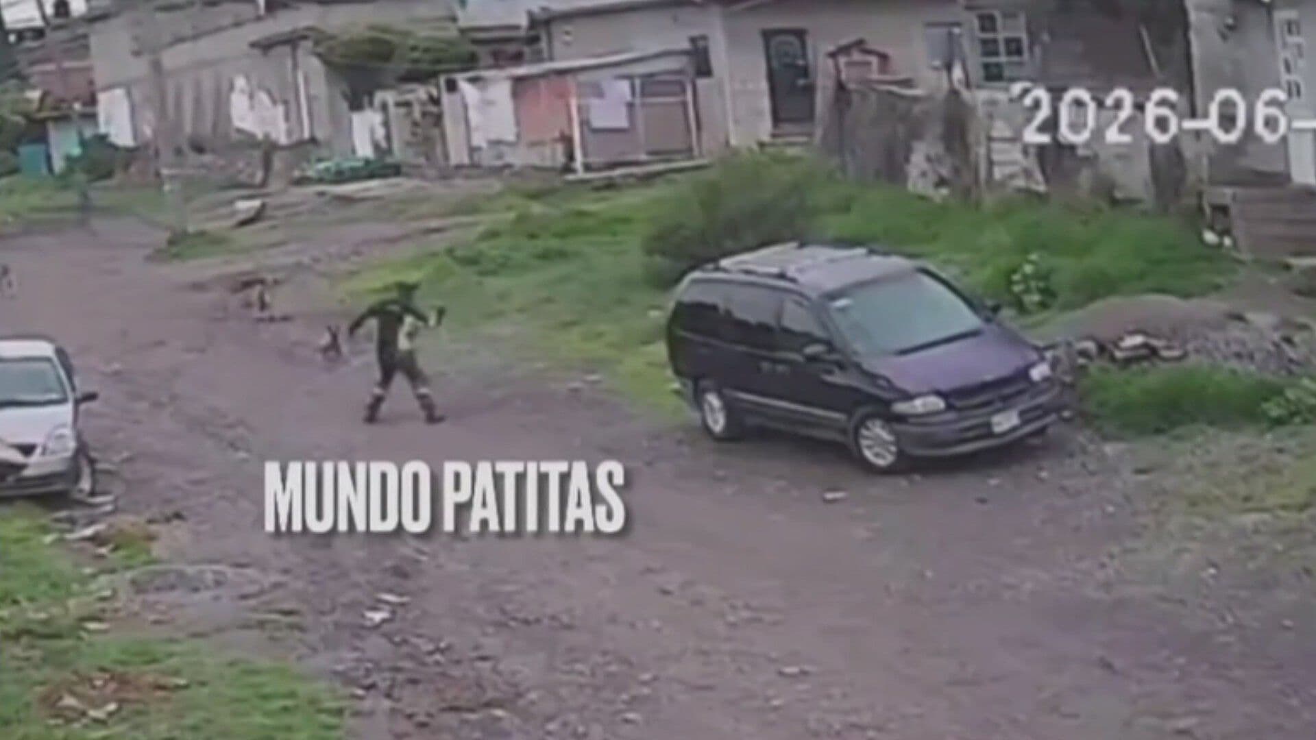 Hombre Lanza Martillo a un Perrito en Teoloyucan, Estado de México