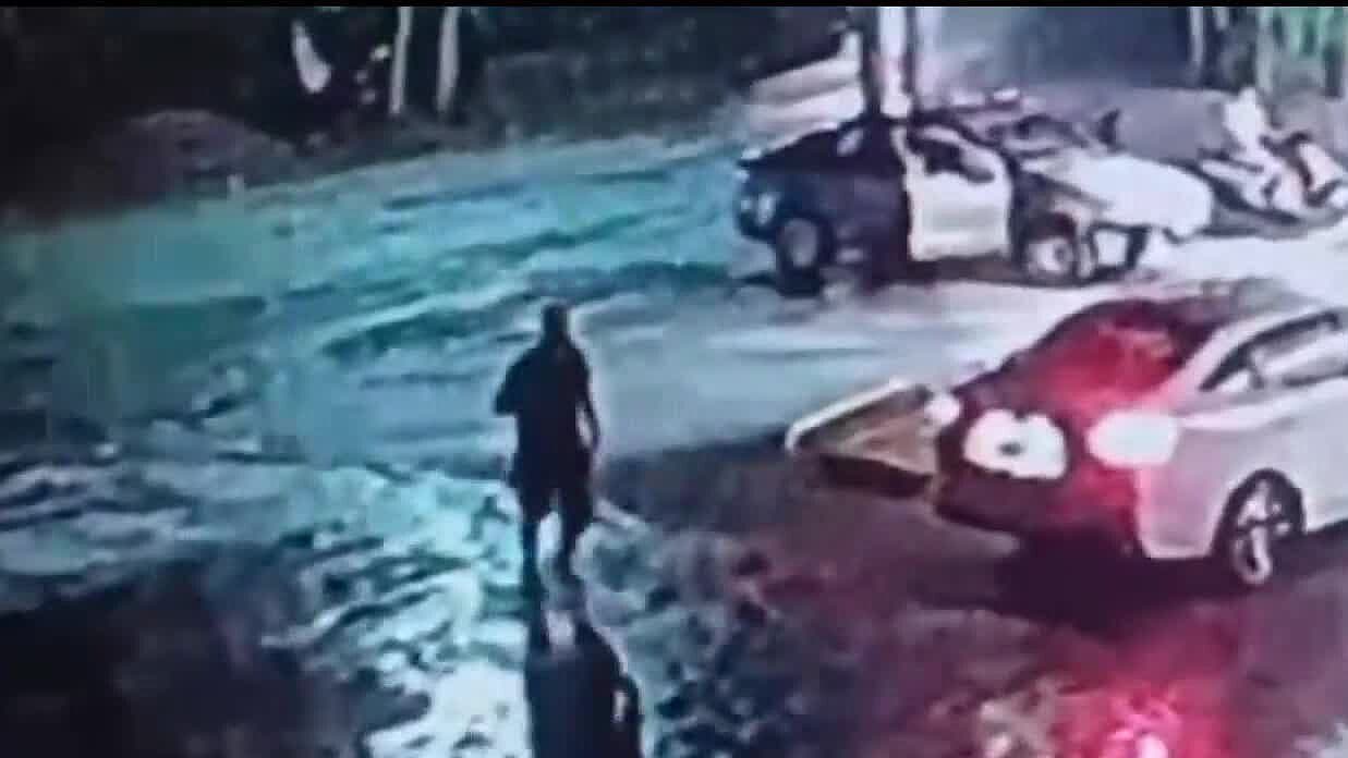 Captan en Video a Hombre Golpeando a Perrita Callejera en Santiago: Lo Buscan y Exigen Justicia