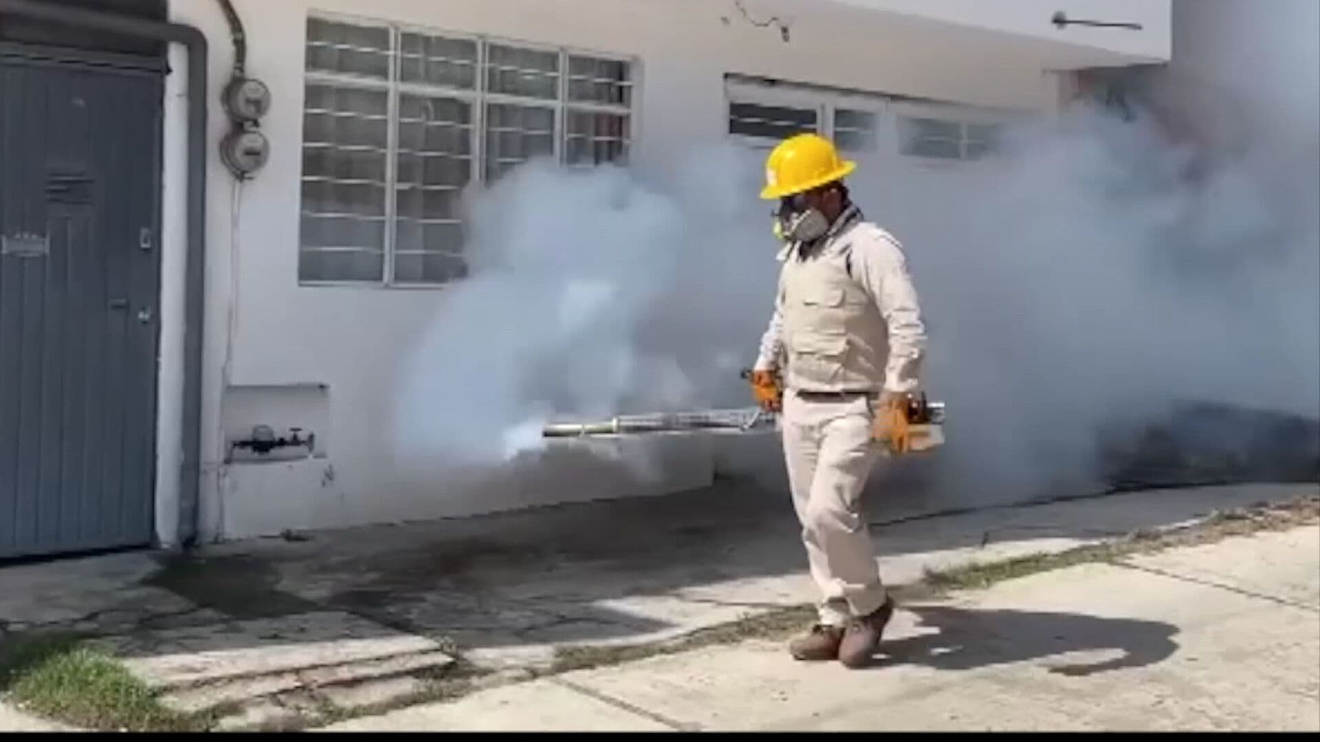 Veracruz Entre las Cinco Entidades con Mayor Número en Casos de Dengue en México
